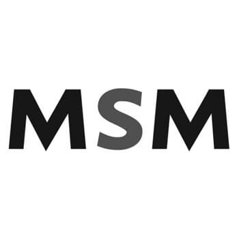 Maastricht School of Management logo
