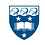 University of Auckland