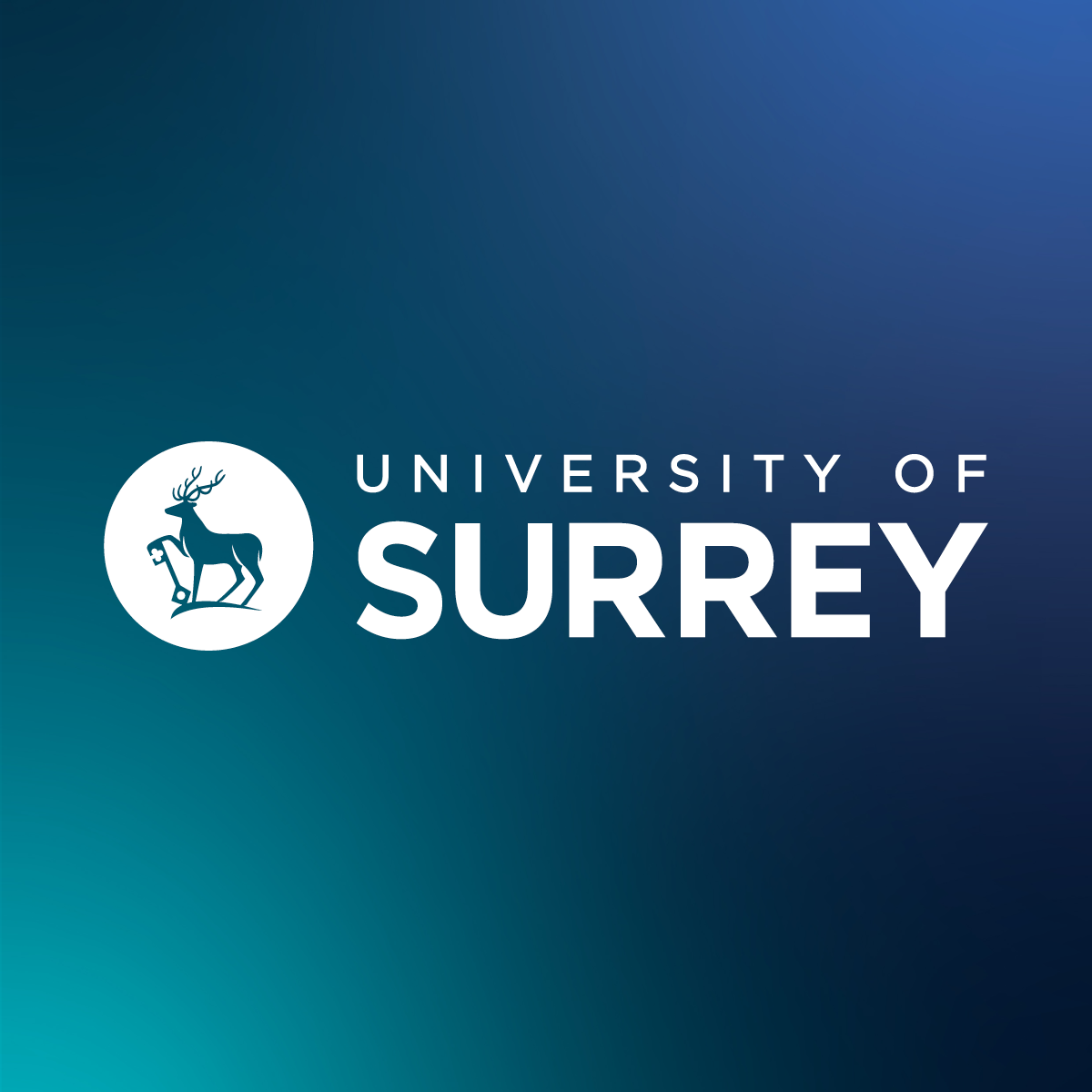 University of Surrey logo