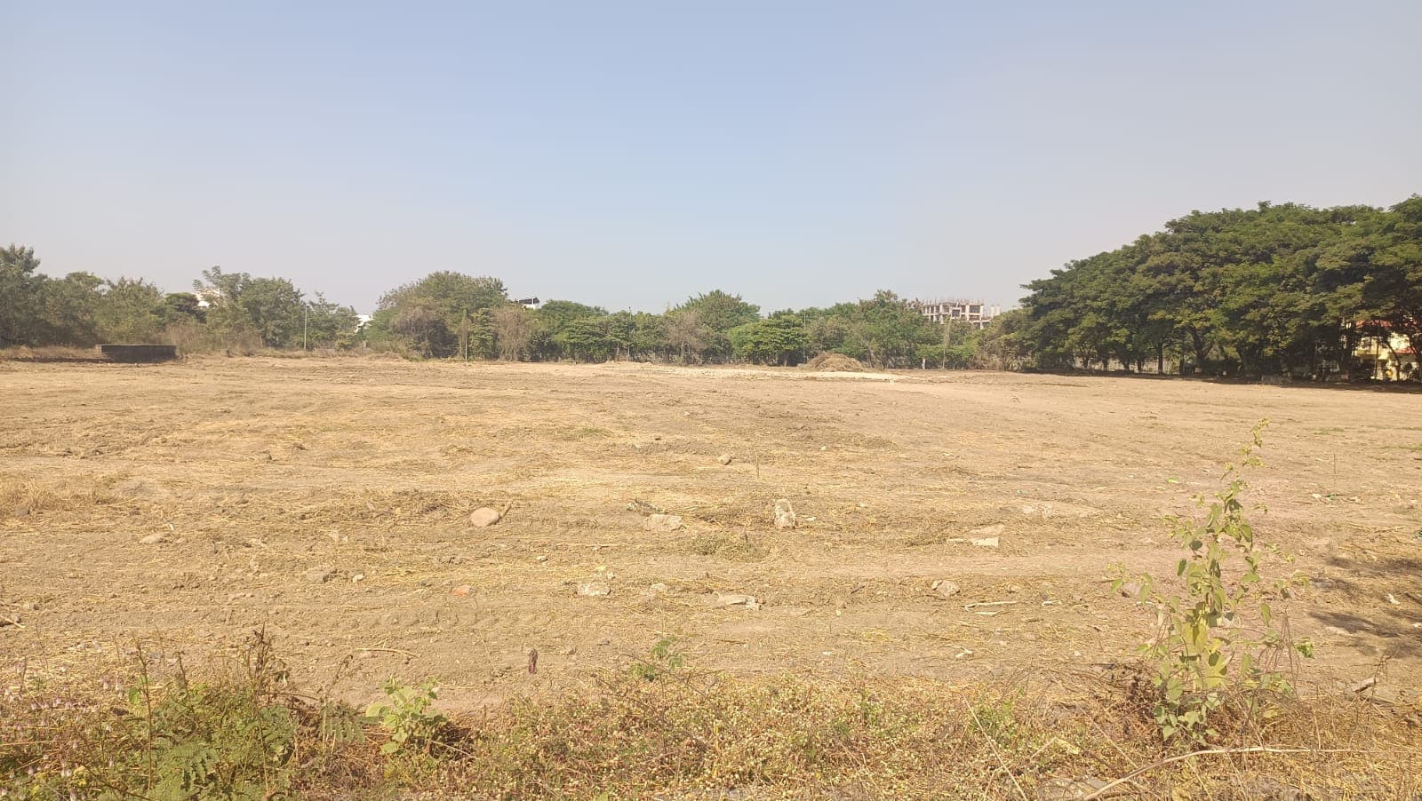 NFSC Nagpur Playground media (12) by 1770041854_43ff774d-ada7-4074-926b-828b59fb4fdd.jpg