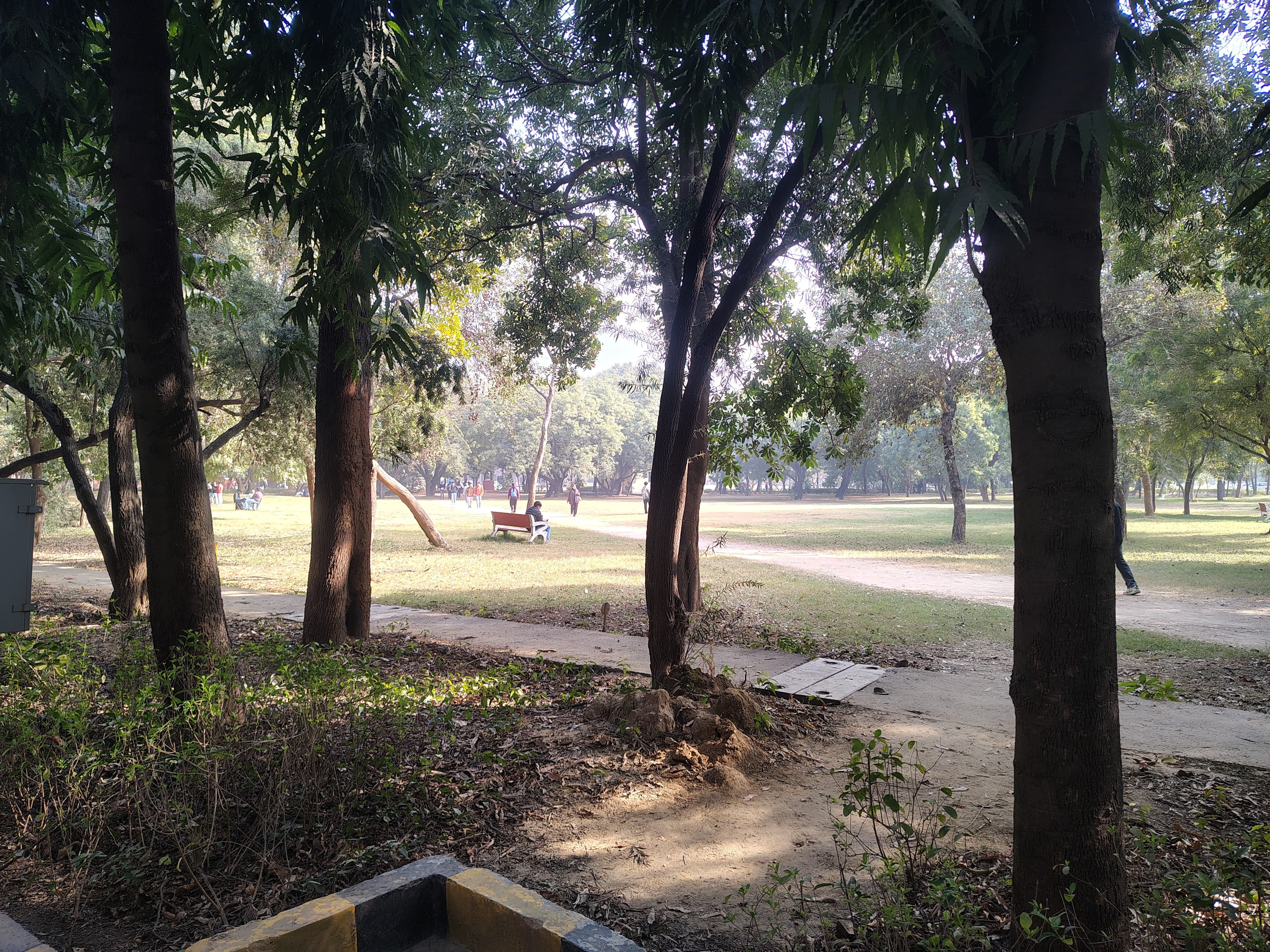 NSUT Playground media (11) by 1770041868_WhatsAppImage2026-01-05at14.30.11(1).jpeg