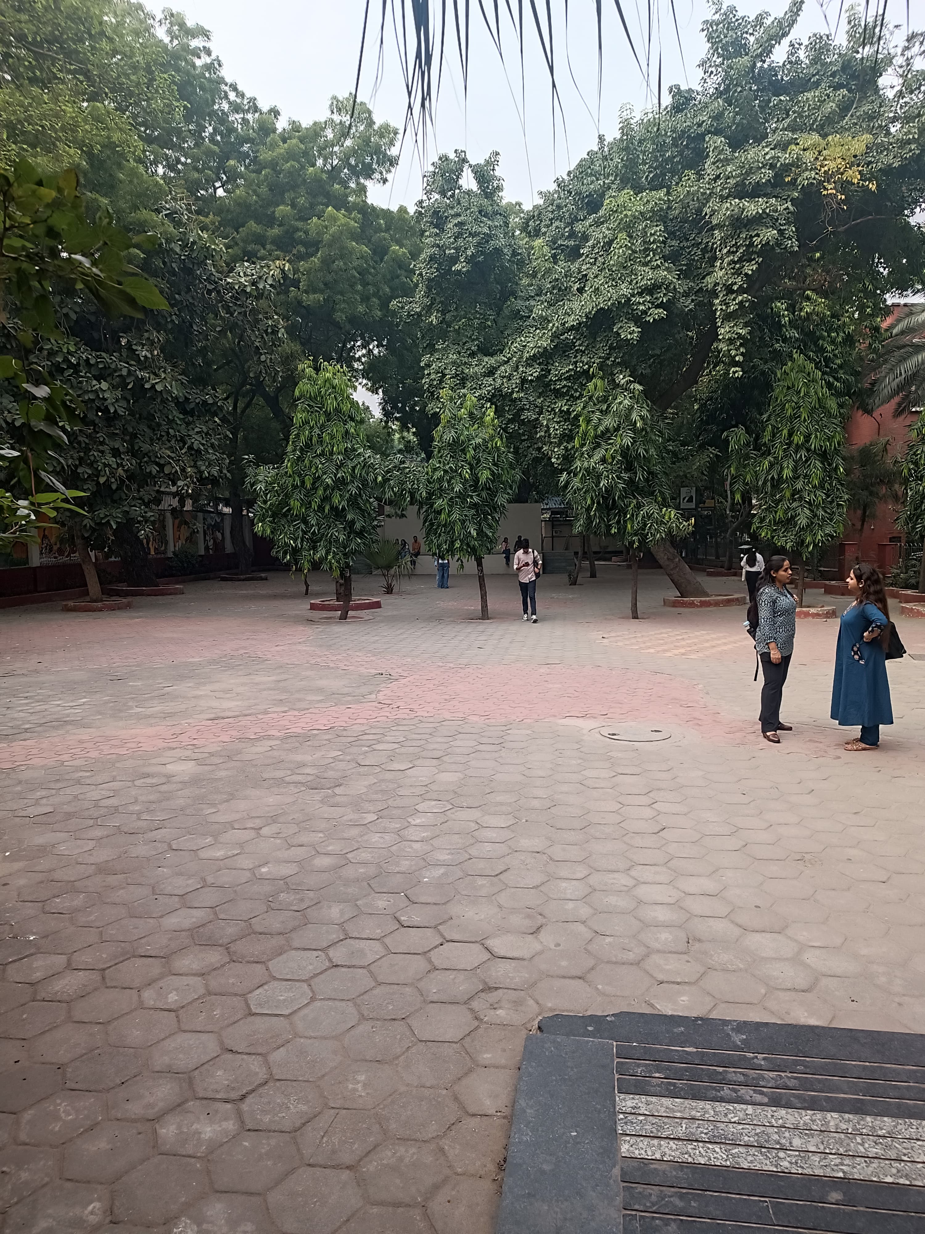 Kirori Mal College Others media (15) by 1770042214_Copyofcanteenlawn1-Deepak.jpg