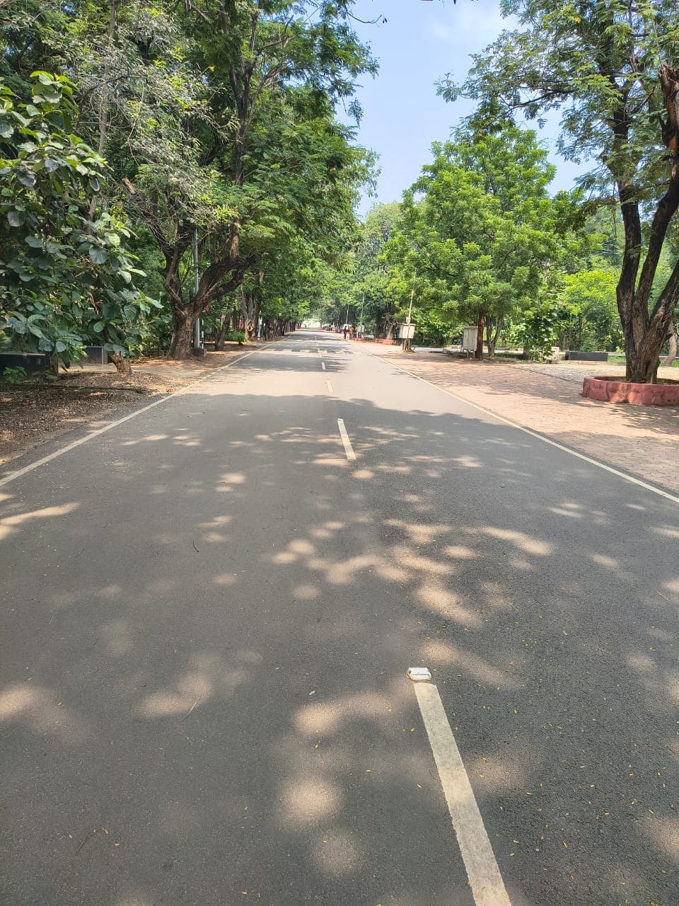 NIT Warangal Others media (13) by 1770042299_IMG-20251112-WA0036.jpg