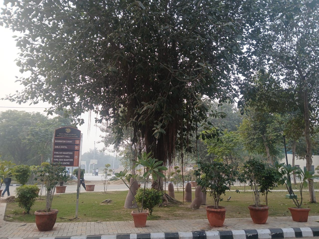 GGSIPU Others media (14) by 1770042452_WhatsAppImage2025-11-19at6.14.18PM(1).jpeg