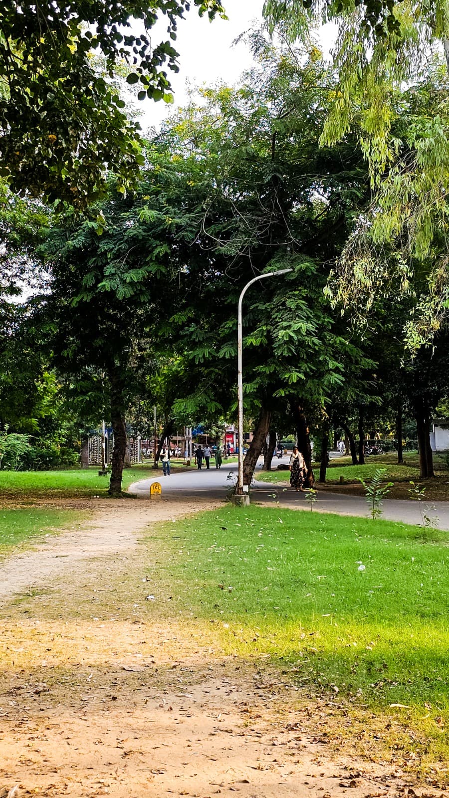 Jamia Millia Islamia University Others media (12) by 1770042474_a6ba88a3-f150-4e73-8f7e-0d1ebf52c9fd.jpg