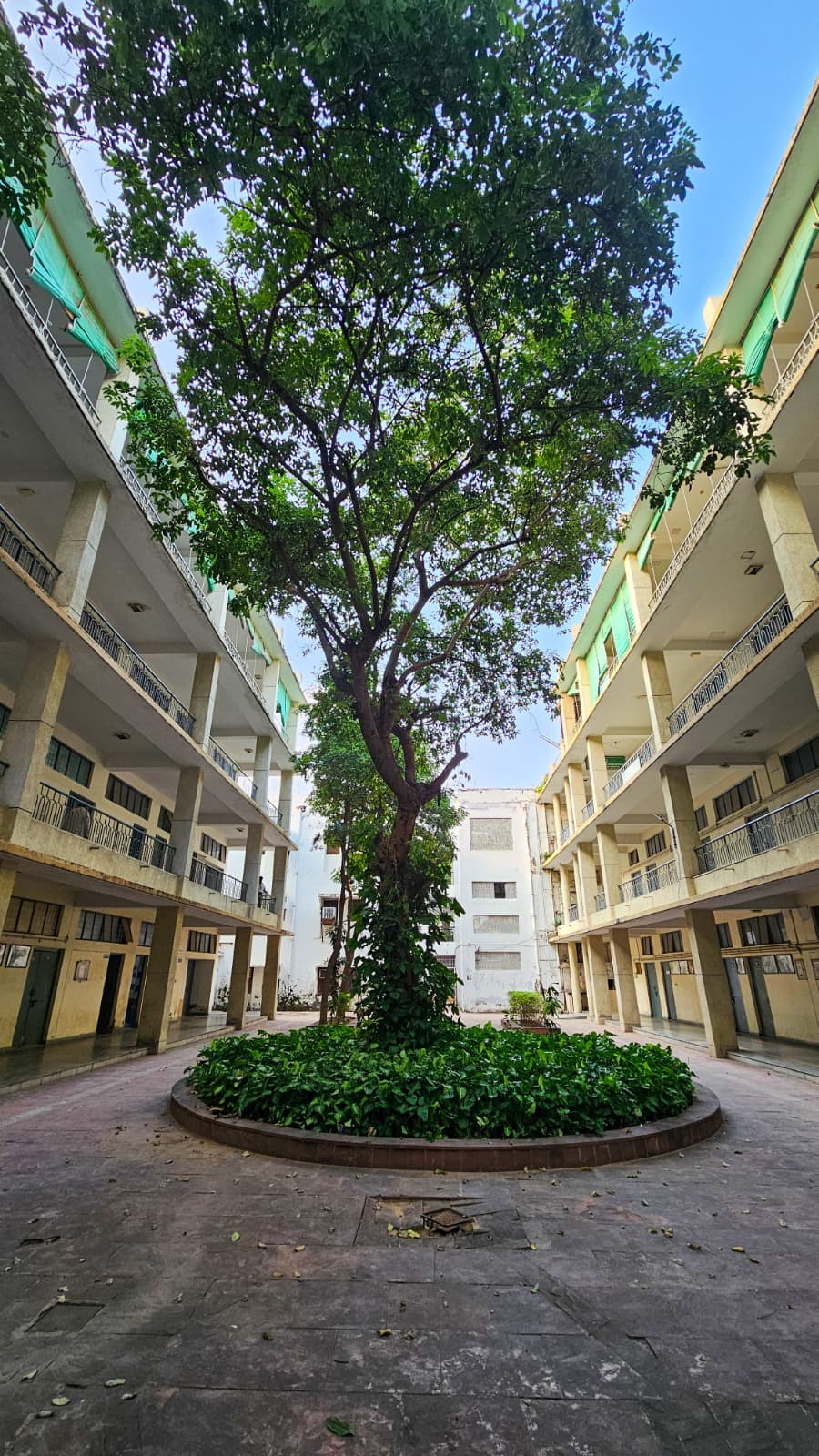 Jamia Millia Islamia University Others media (11) by 1770042475_e17dd135-3ed2-43d1-a206-38642abecf6e.jpg