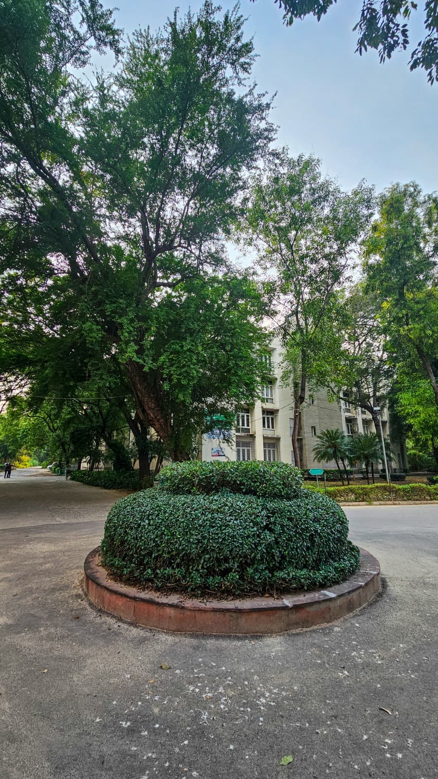 Jamia Millia Islamia University Others media (10) by 1770042475_e4dbd9df-5863-4fd8-a98d-deba1b9fc44a.jpg