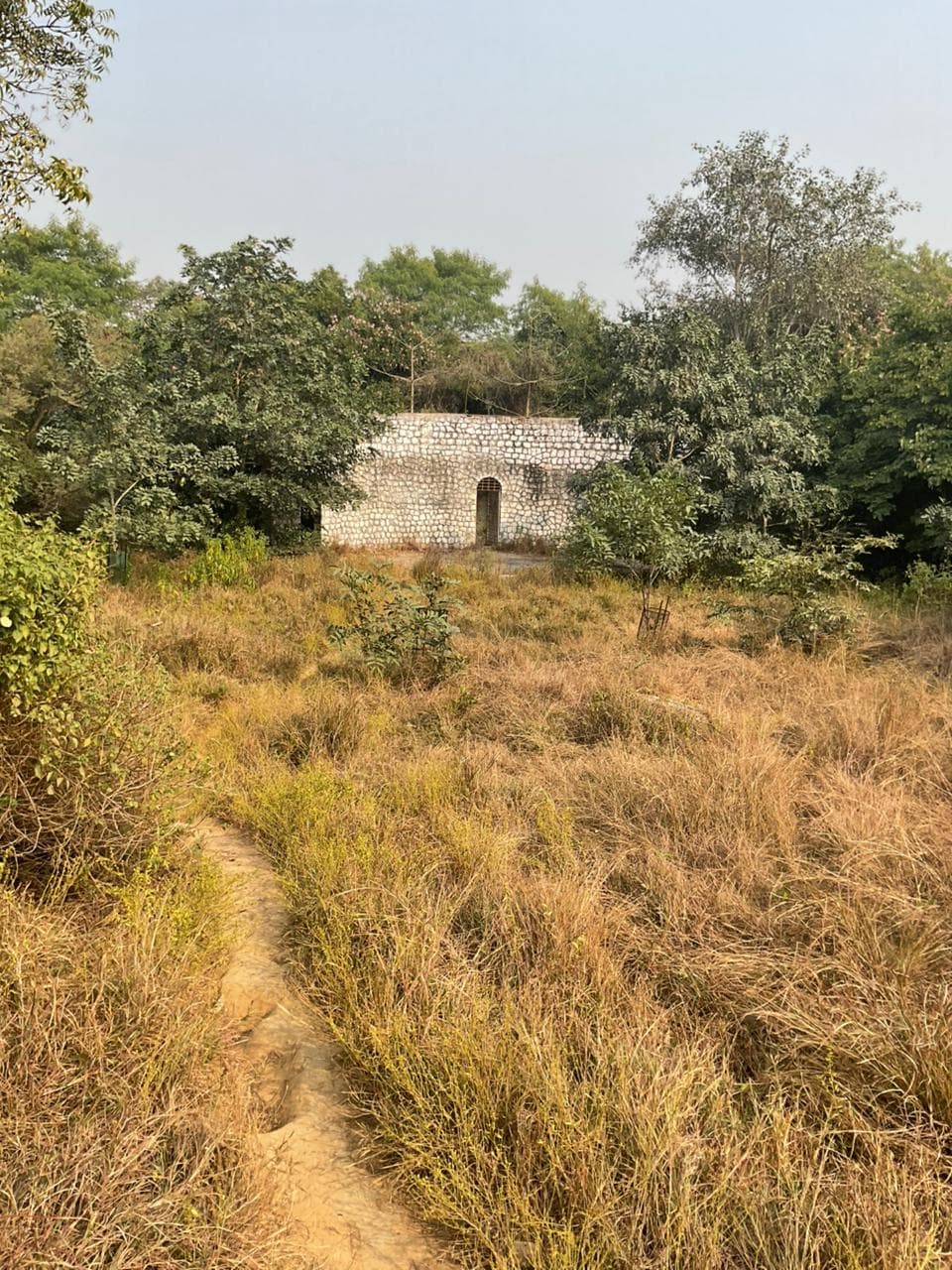 JNU Playground media (10) by 1770042483_WhatsAppImage2025-12-02at6.30.57PM.jpeg