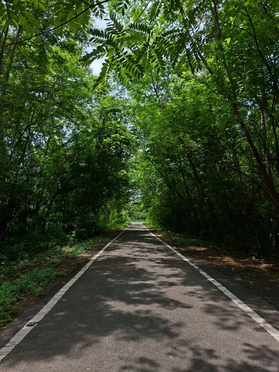 BU Bhopal Others media (14) by 1770042919_WhatsAppImage2025-11-21at5.15.17PM(1).jpeg