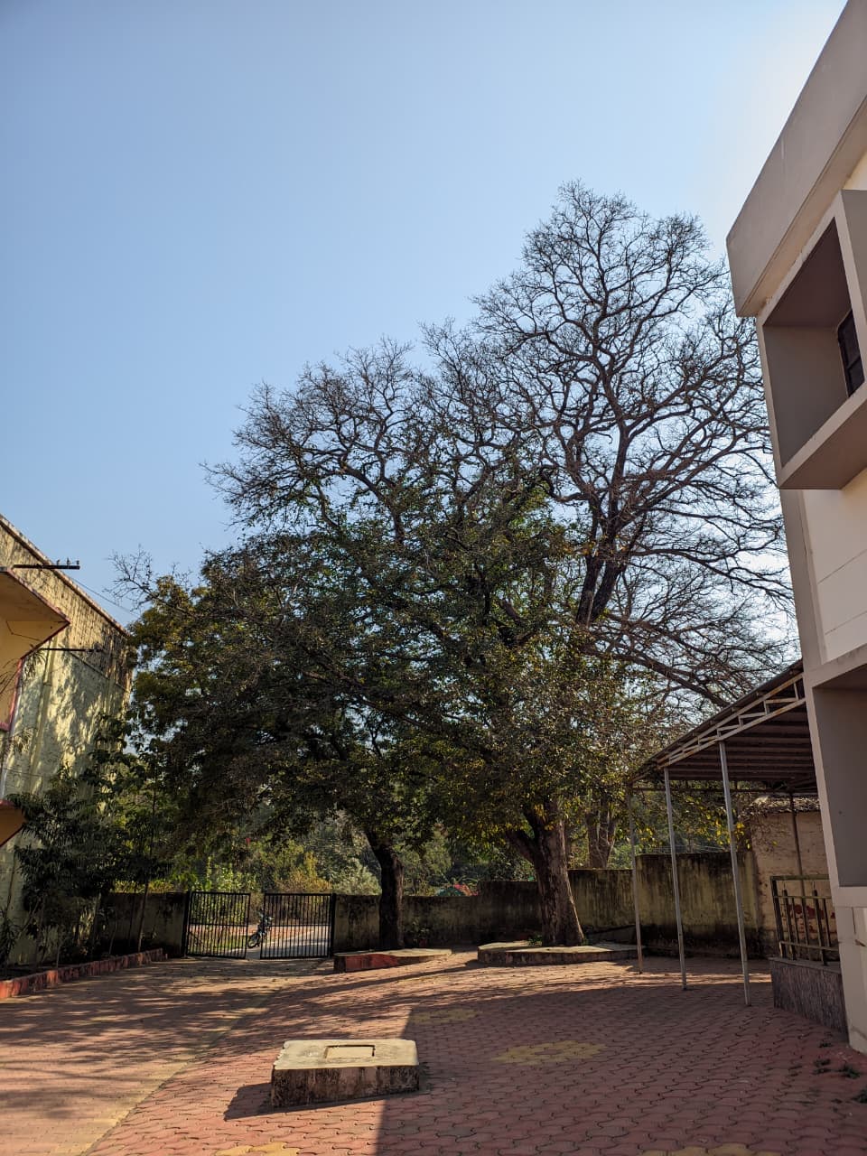 BU Bhopal Others media (12) by 1770042919_WhatsAppImage2025-11-21at5.15.34PM.jpeg