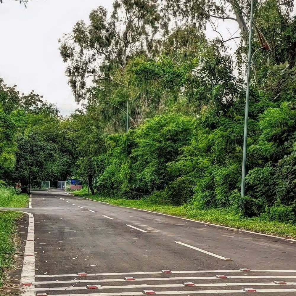 BU Bhopal Others media (11) by 1770042919_WhatsAppImage2025-11-21at5.22.24PM.jpeg