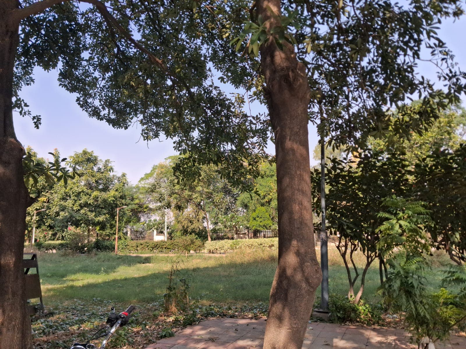 I.K. Gujral Punjab Technical University Jalandhar Playground media (13) by 1770043161_WhatsAppImage2025-11-13at2.03.52PM.jpeg