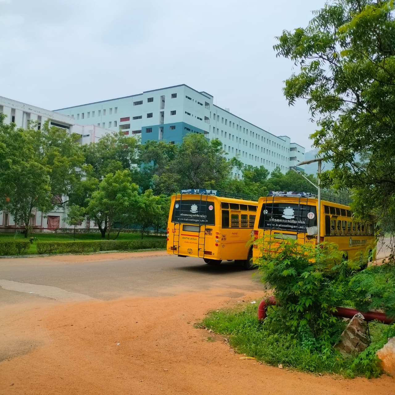 Kalasalingam University Others media (12) by 1770043234_12c8273f-2423-4260-b8f5-c5461253d7ad.jpg