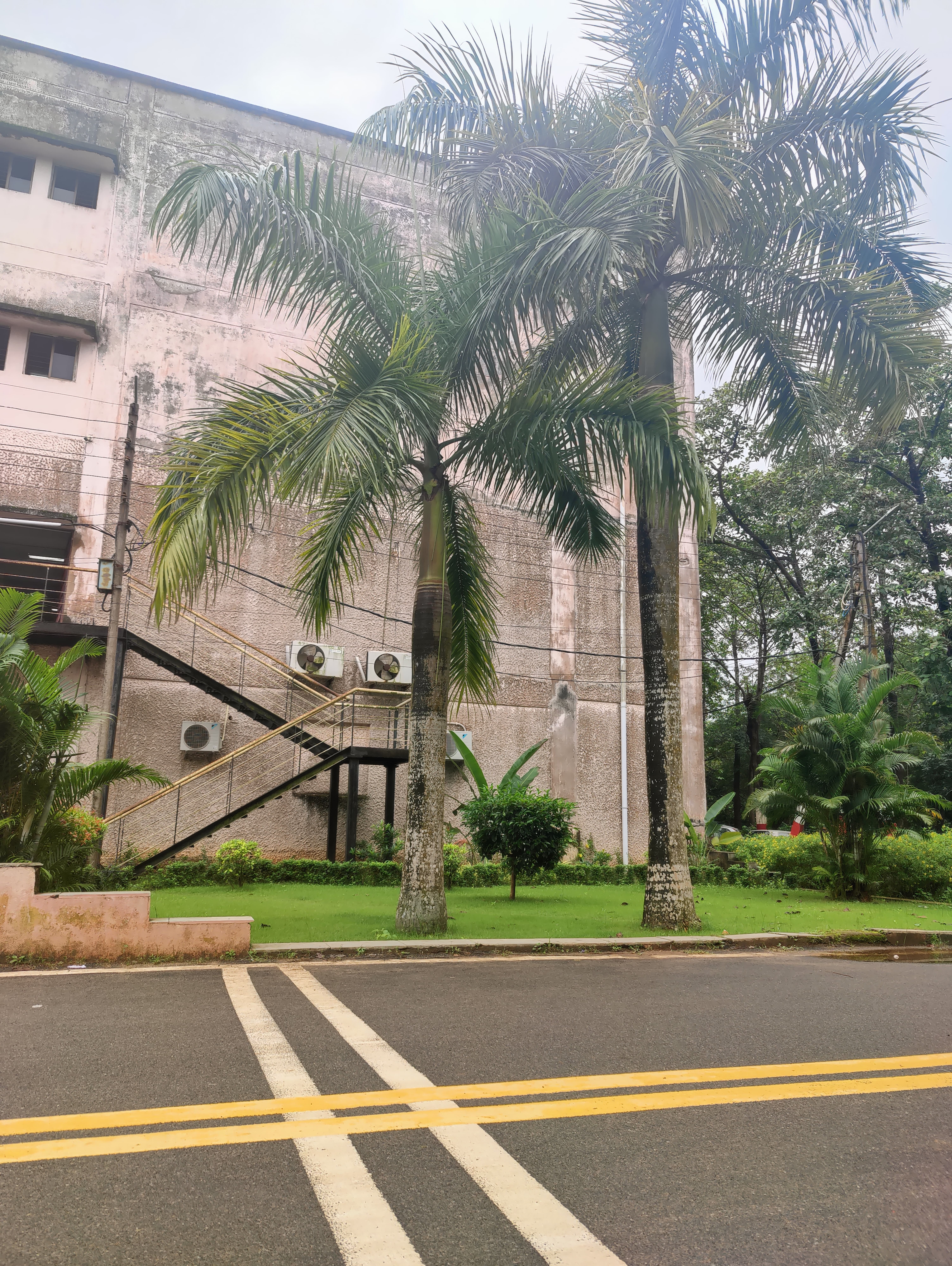 OUTR Others media (13) by 1770043764_IMG20250903133055-Lineysha.jpg