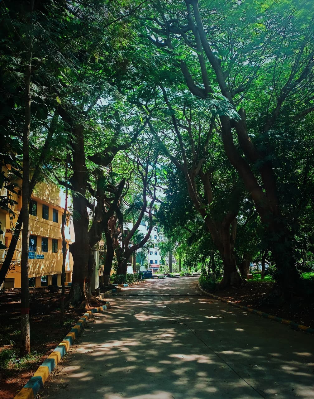 DSCE Bangalore Others media (15) by 1770043782_WhatsAppImage2026-01-03at4.29.18PM.jpeg