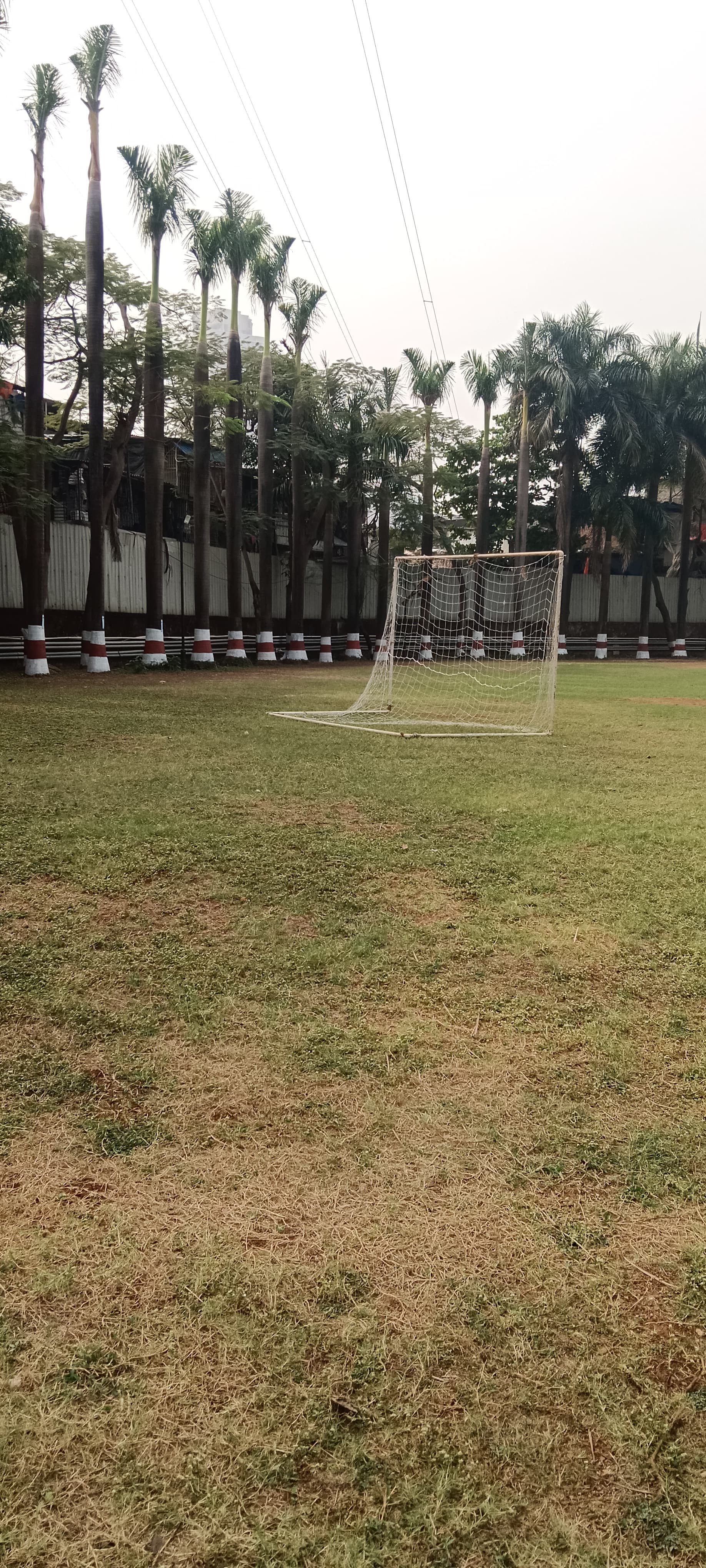 Vidyalankar Institute of Technology Mumbai Playground media (14) by 1770043910_CopyofPlayground_.jpg