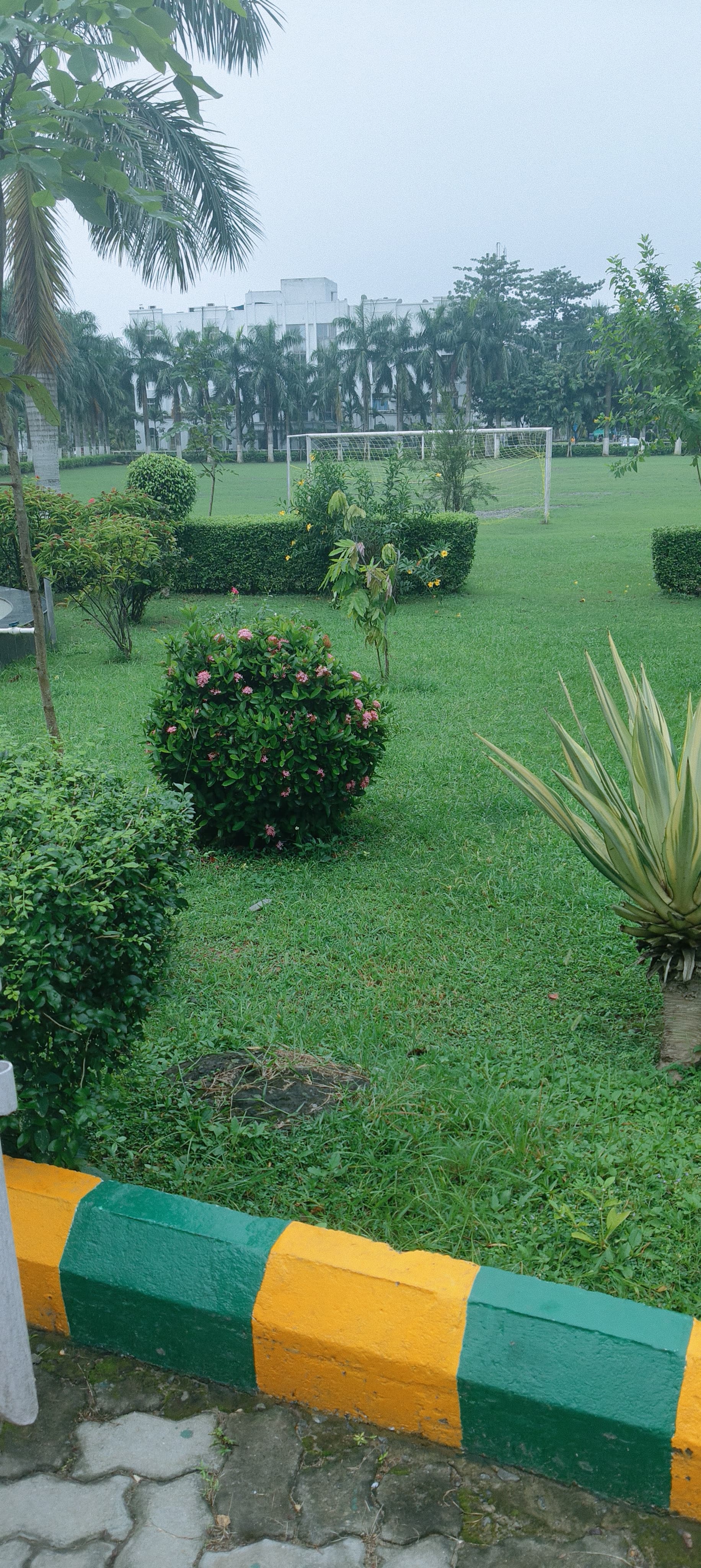 Adamas University Kolkata Playground media (9) by 1770044178_IMG20250920153126-AYUSHMISHRA.jpg