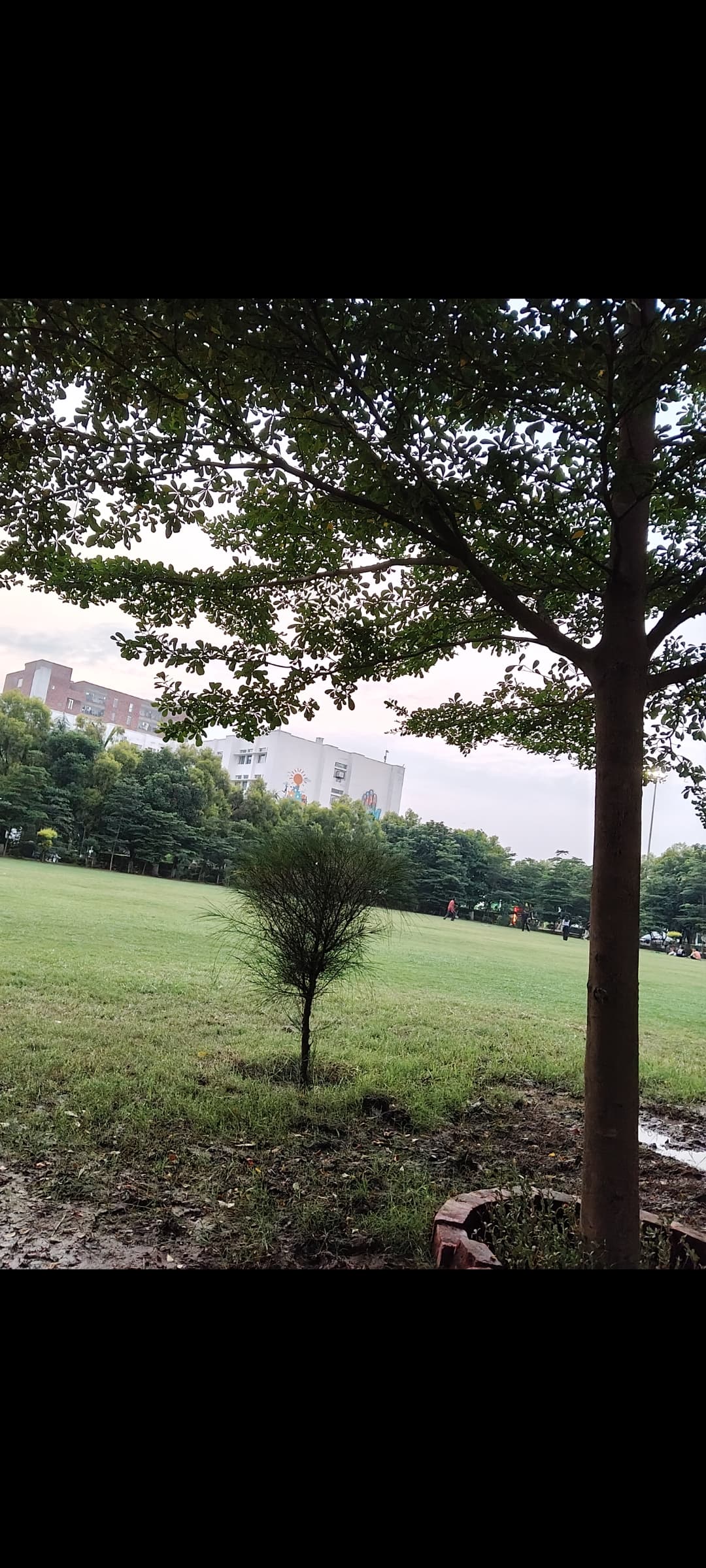 CGC University Others media (13) by 1770044347_inbound6667410049615622398-VartikaRajput.jpg