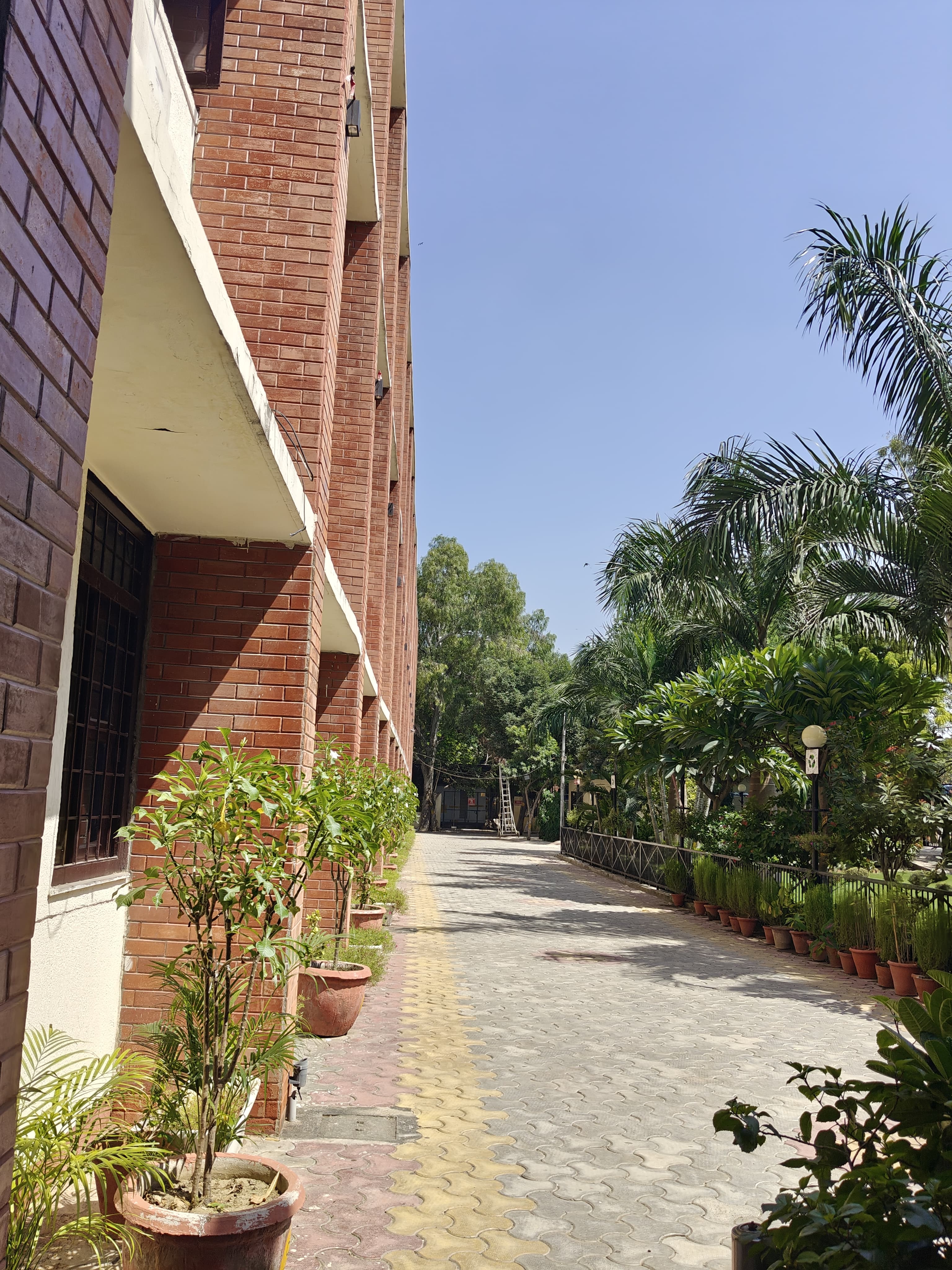 Shyam Lal College Others media (10) by 1770044413_pathway.jpg