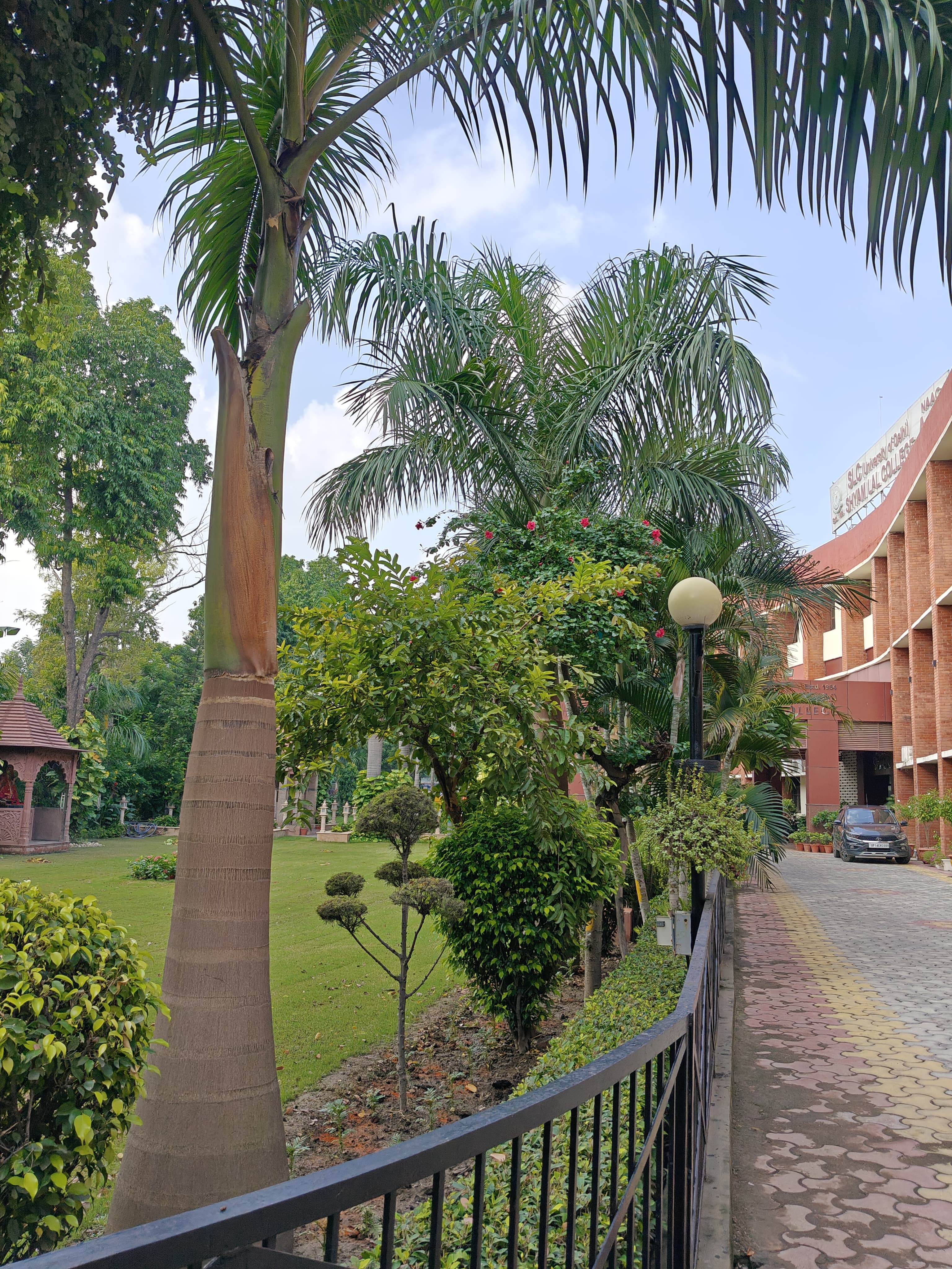 Shyam Lal College Others media (9) by 1770044414_pathway(2).jpg