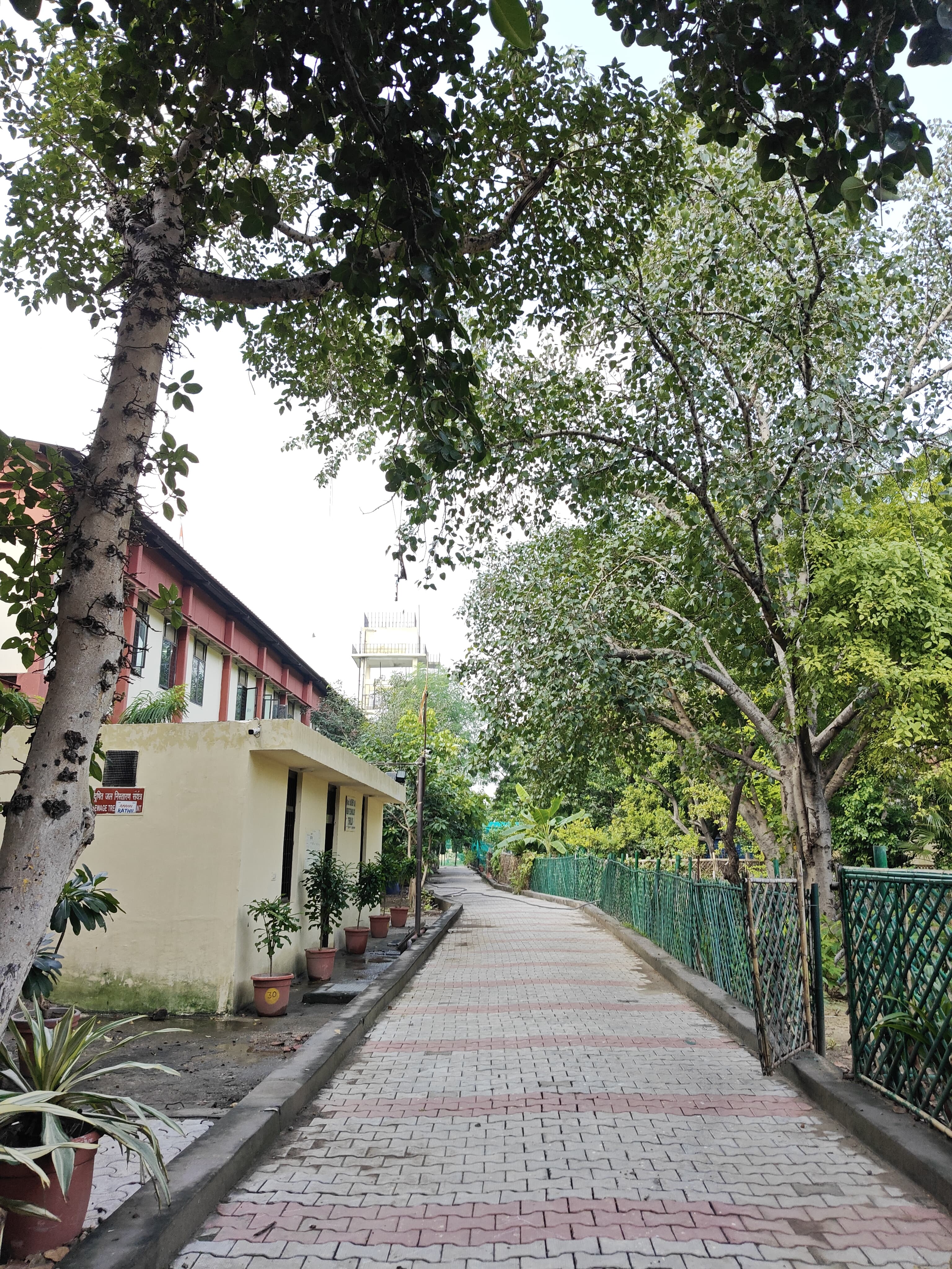 Shyam Lal College Others media (8) by 1770044414_pathway.jpg