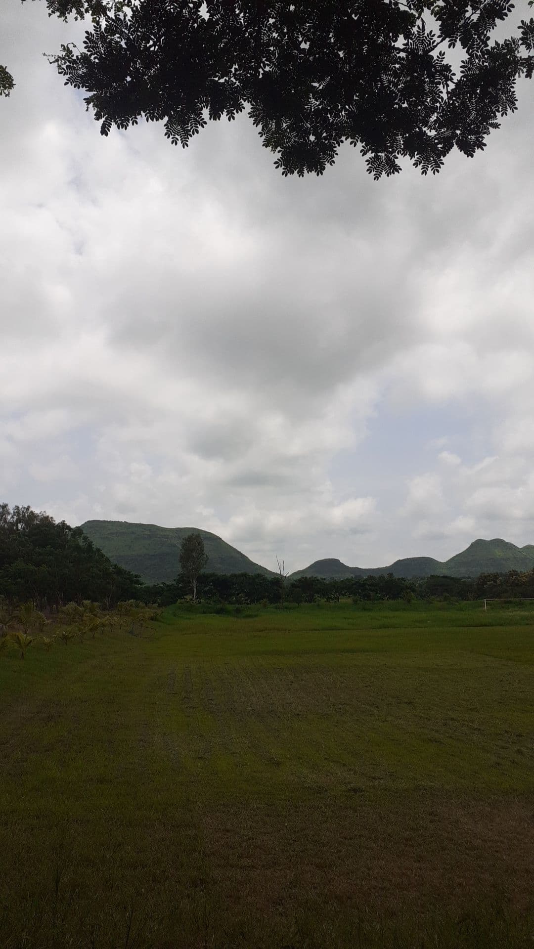 Sandip University Nashik Others media (15) by 1770044429_Copyof489606455.jpg