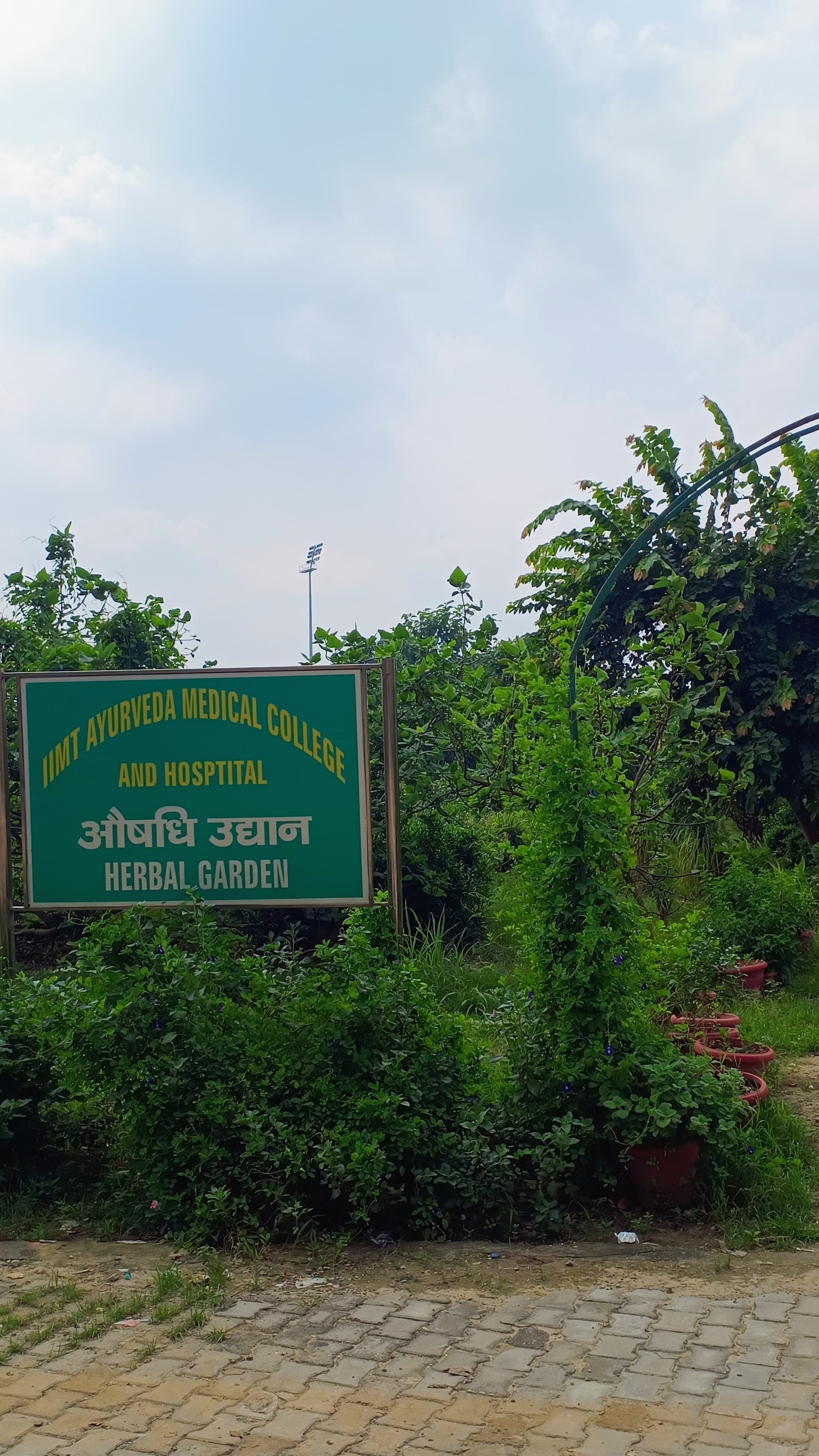 IIMT University Meerut Playground media (12) by 1770044527_HerbalGarden.jpg