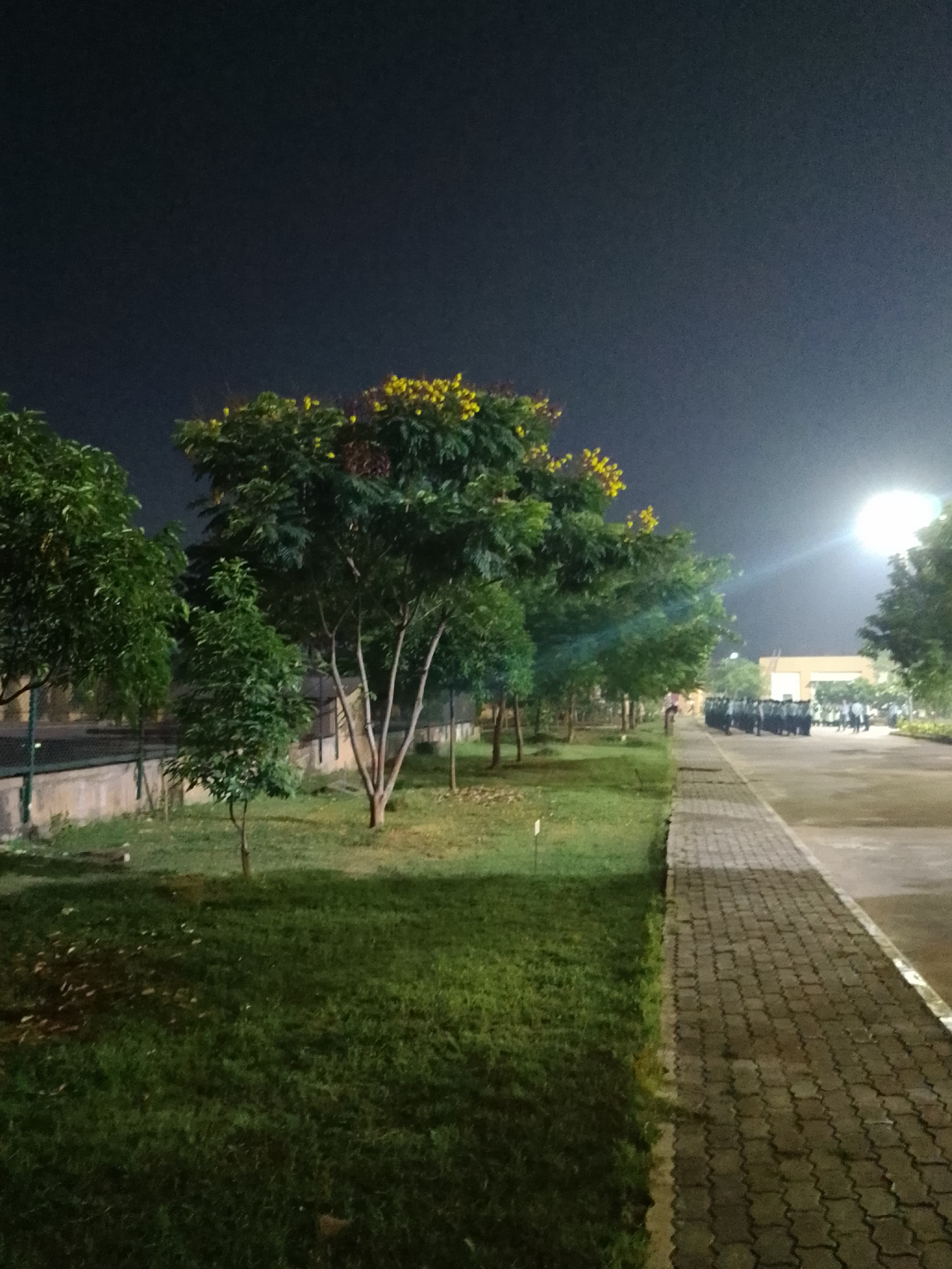 AIIMS Raipur Others media (15) by 1770044718_PathWay.jpg