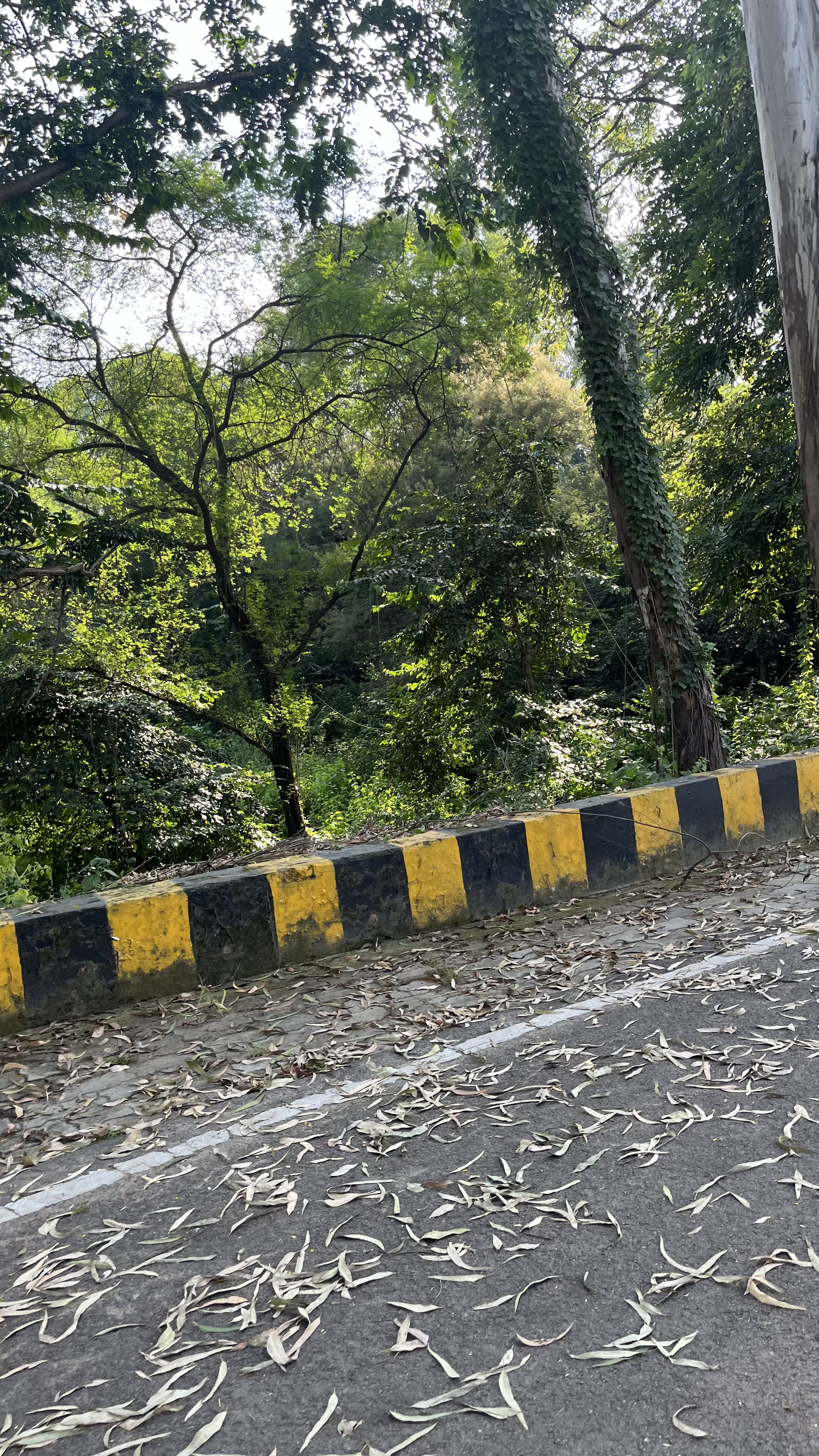 KNIT Sultanpur Others media (15) by 1770114339_PathWay(2).HEIC