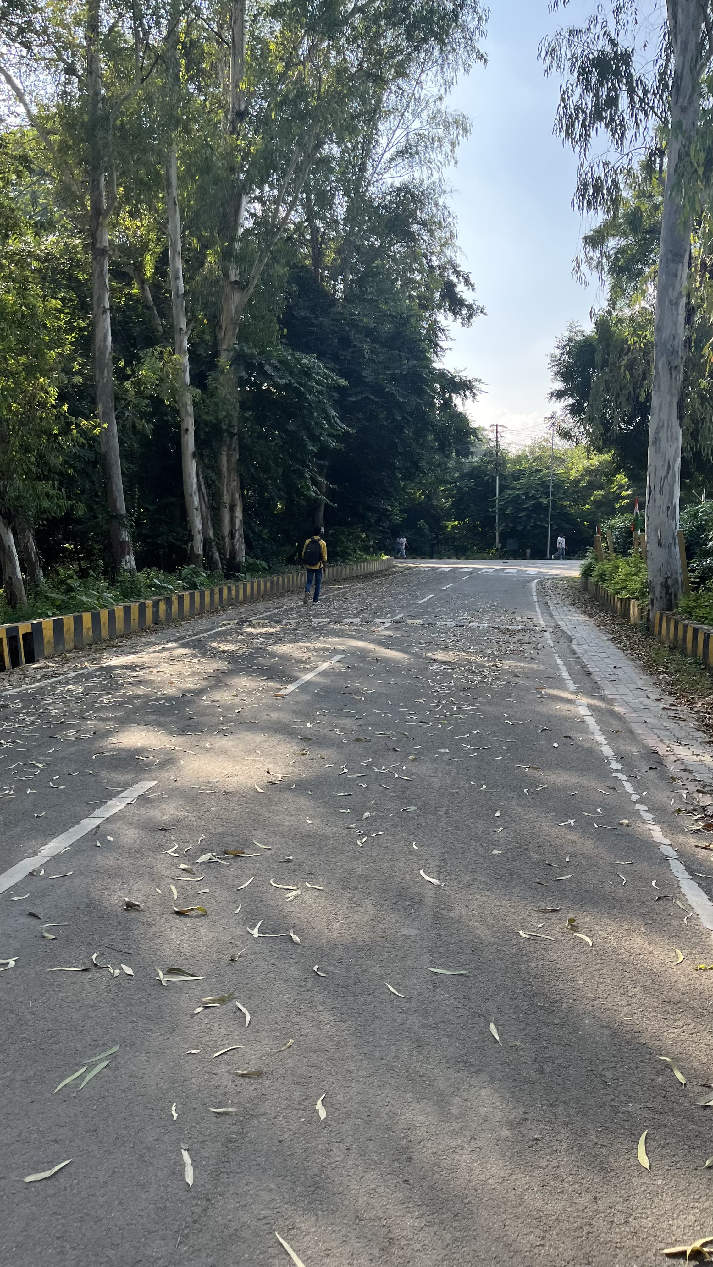 KNIT Sultanpur Others media (14) by 1770114339_PathWay(3).HEIC