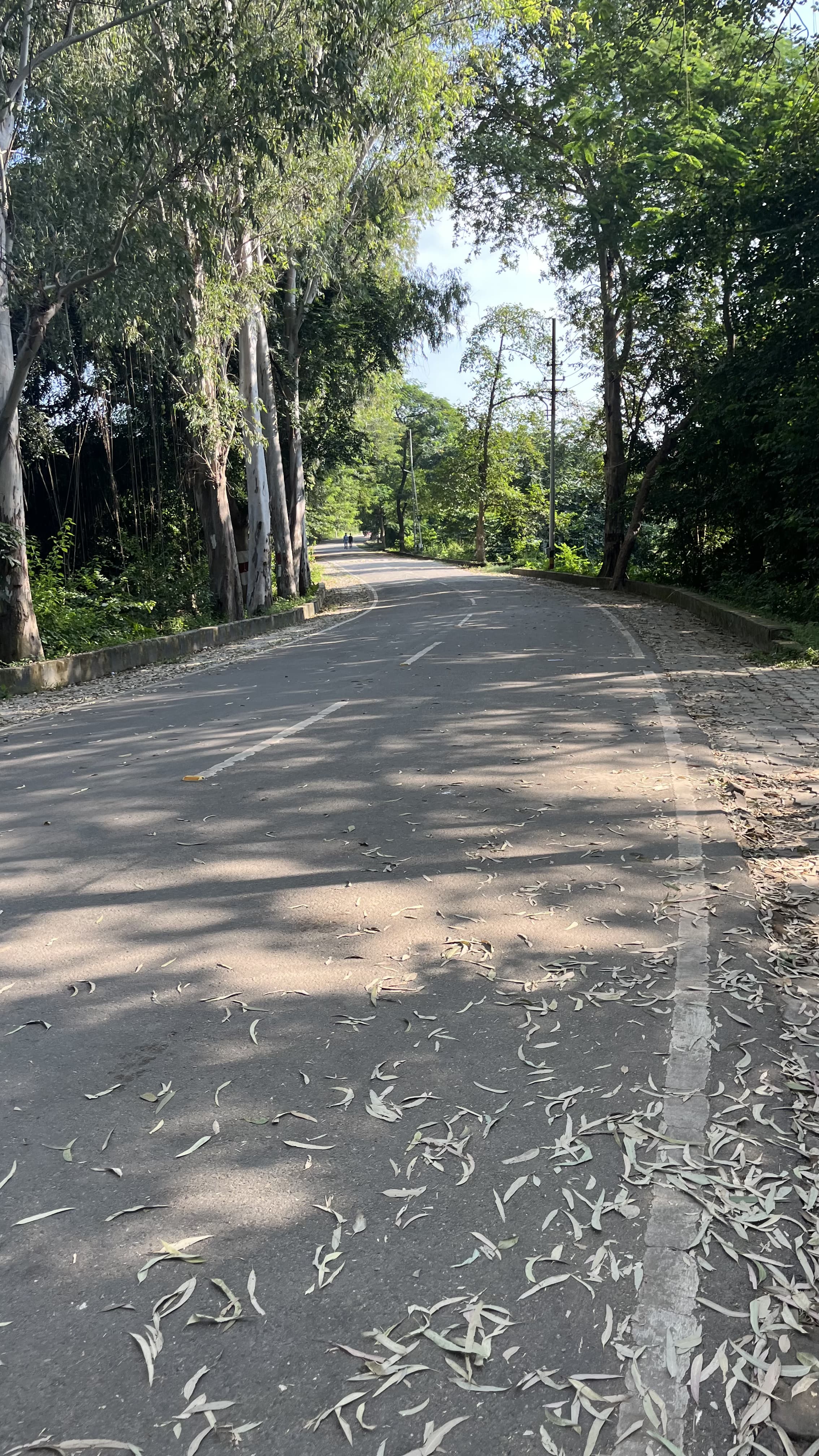 KNIT Sultanpur Others media (11) by 1770114340_PathWay(6).HEIC