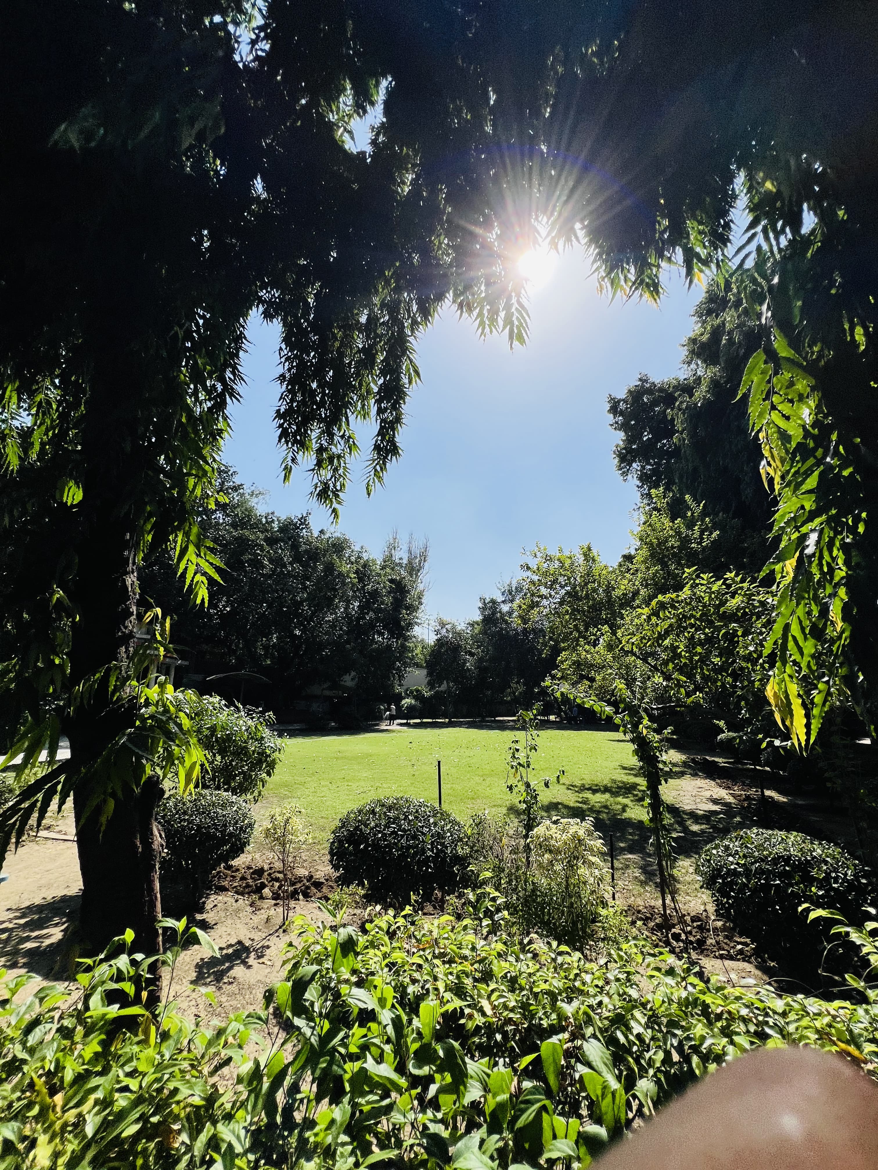 PGDAV Evening College Playground media (15) by 1770114540_CopyofIMG_7404-ParasSharma.HEIC