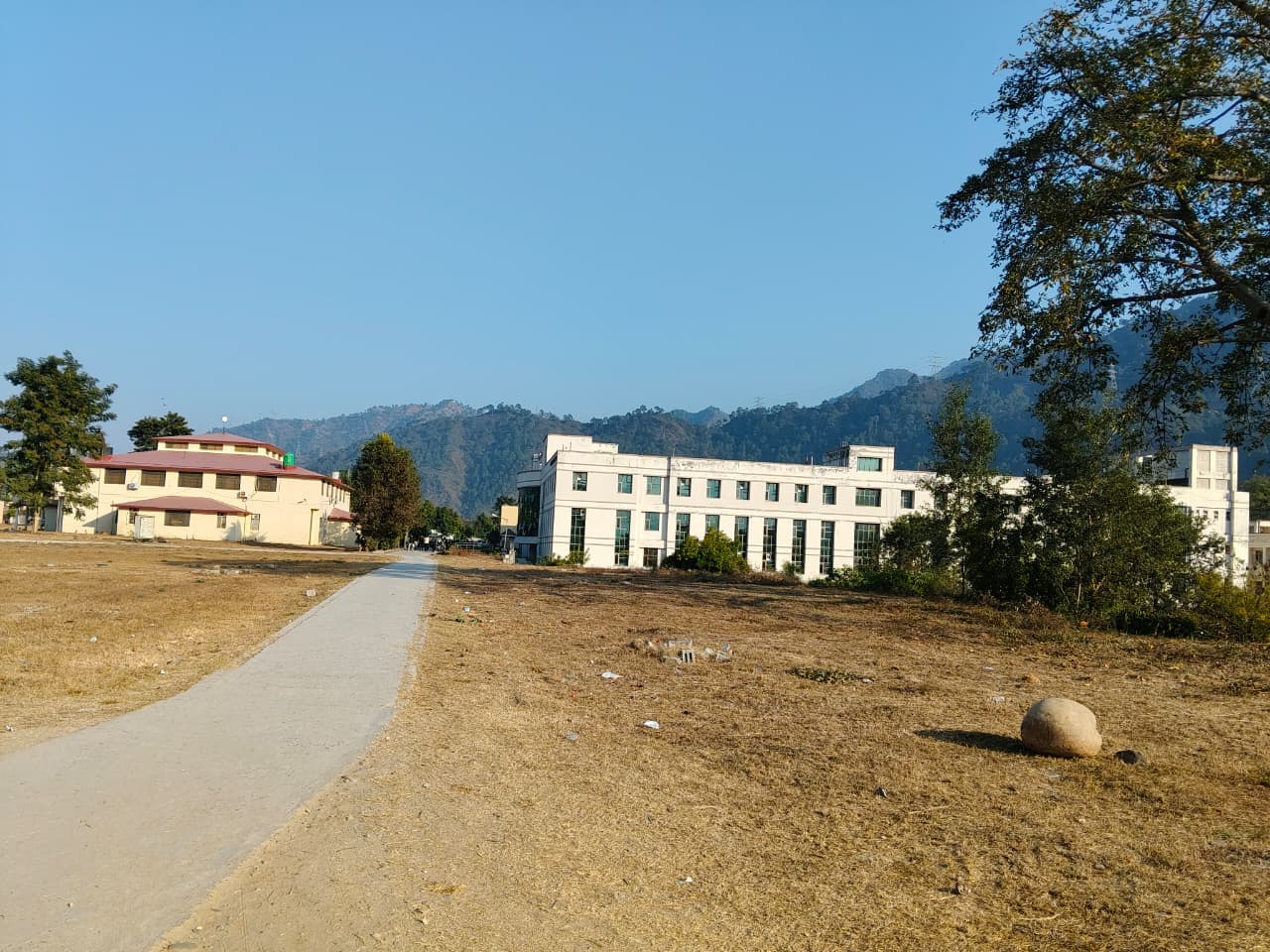 HNBGU Others media (14) by 1770801905_WhatsAppImage2025-12-19at3.34.36PM(2).jpeg