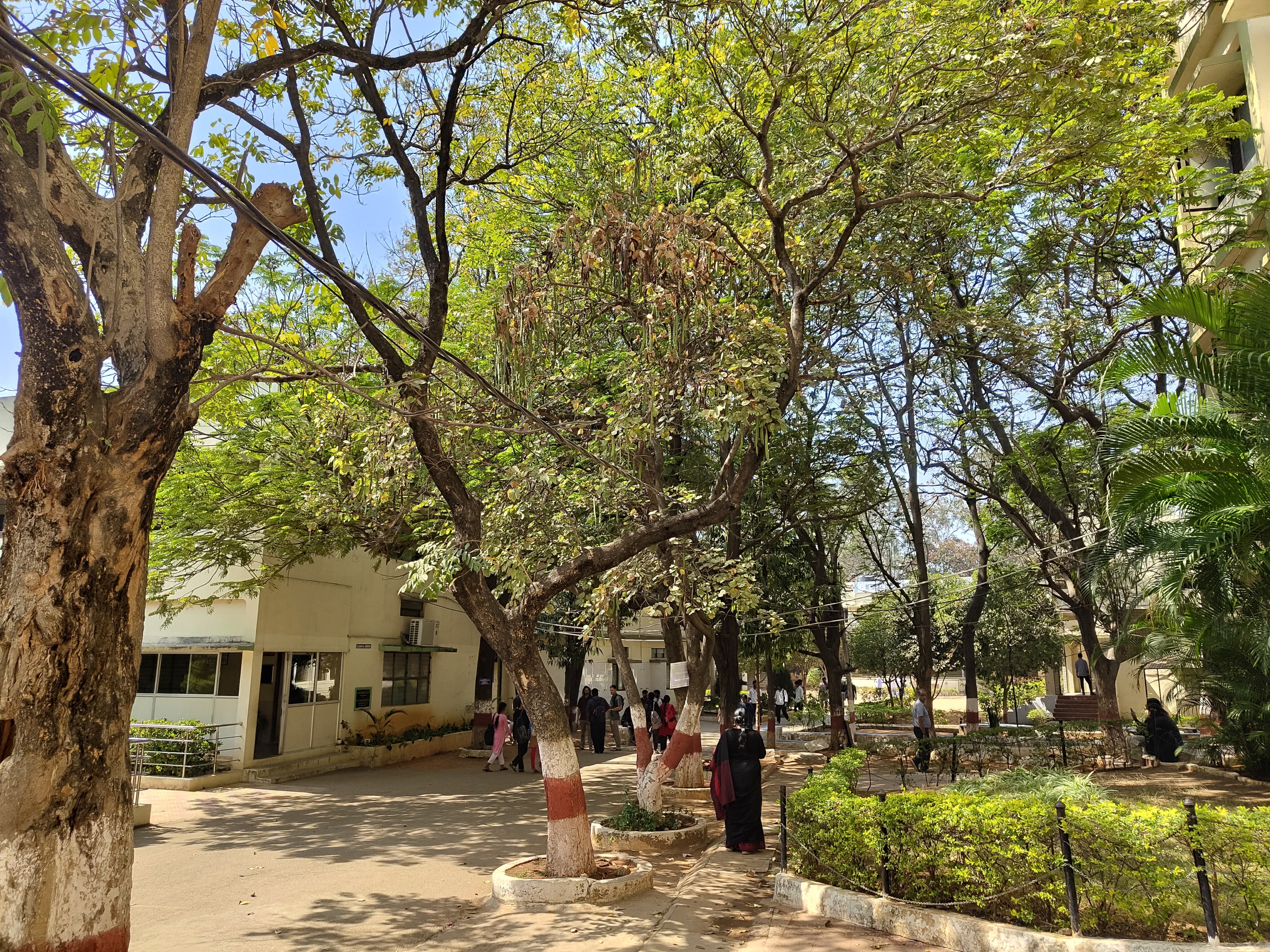 Bhavan's Vivekananda College of Science Humanities and Commerce Secunderabad Others media (12) by 1770897130_entrancevieqw.jpeg