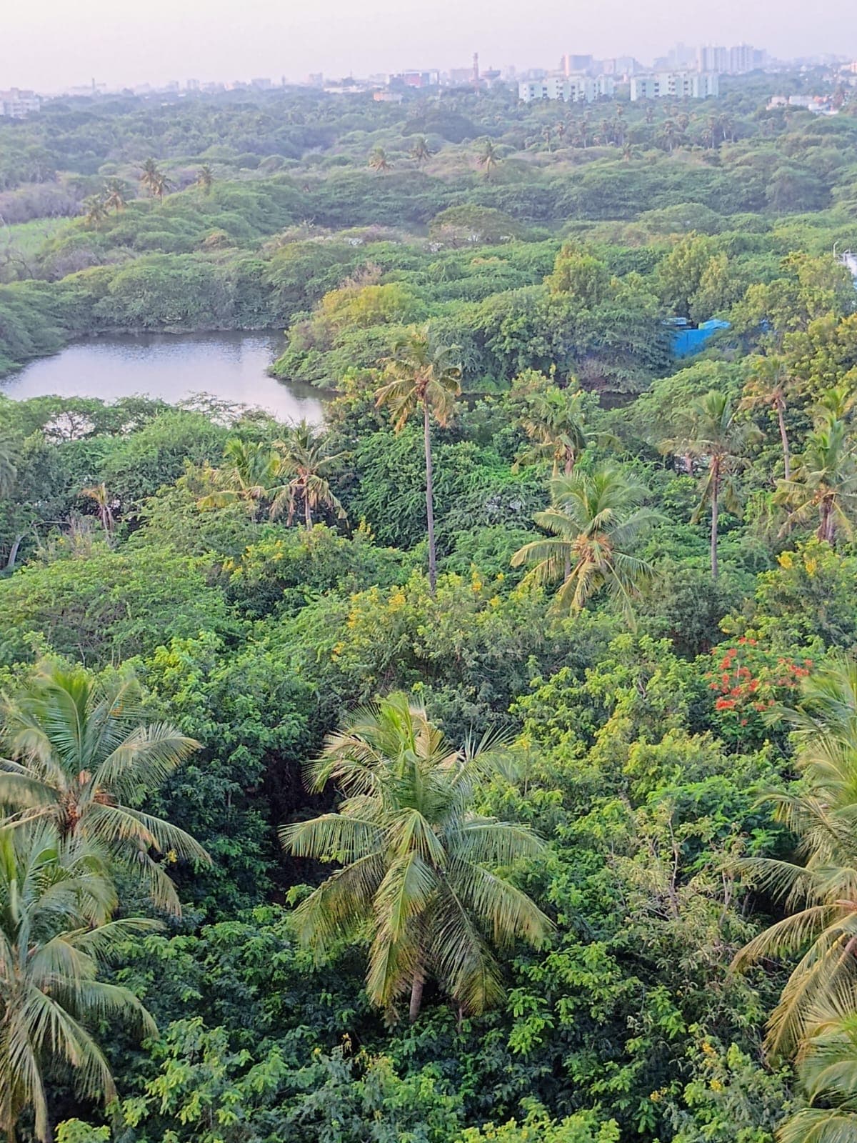 IIT Madras Others media (2) by 1770905026_WhatsAppImage2026-02-12at7.01.19PM.jpeg