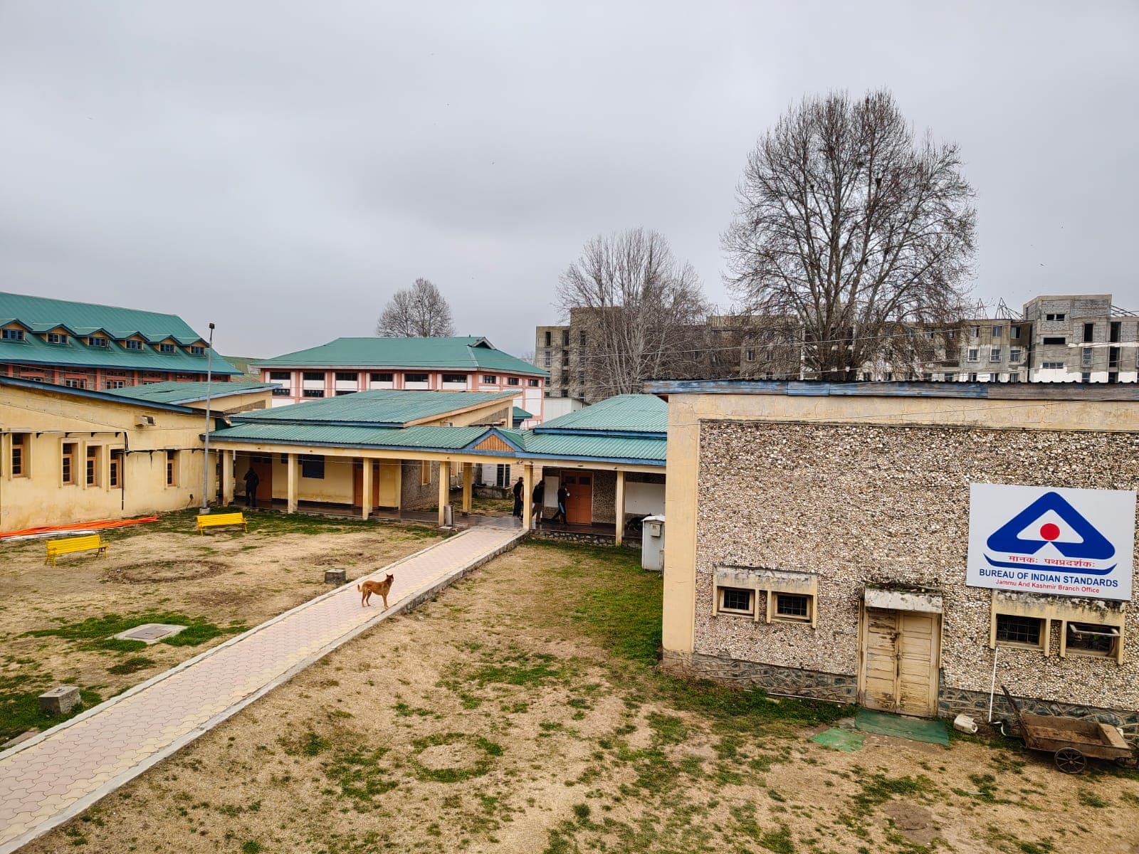 NIT Srinagar Others media (14) by 1771232313_WhatsAppImage2026-02-13at9.02.22PM.jpeg