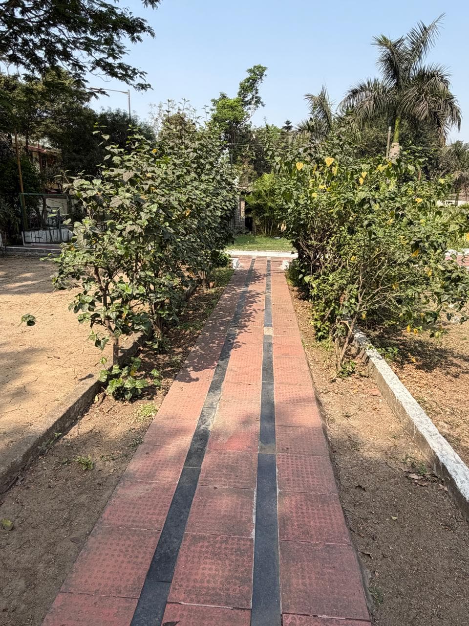 NIT Raipur Others media (10) by 1771484117_WhatsAppImage2026-02-19at12.17.49PM.jpeg