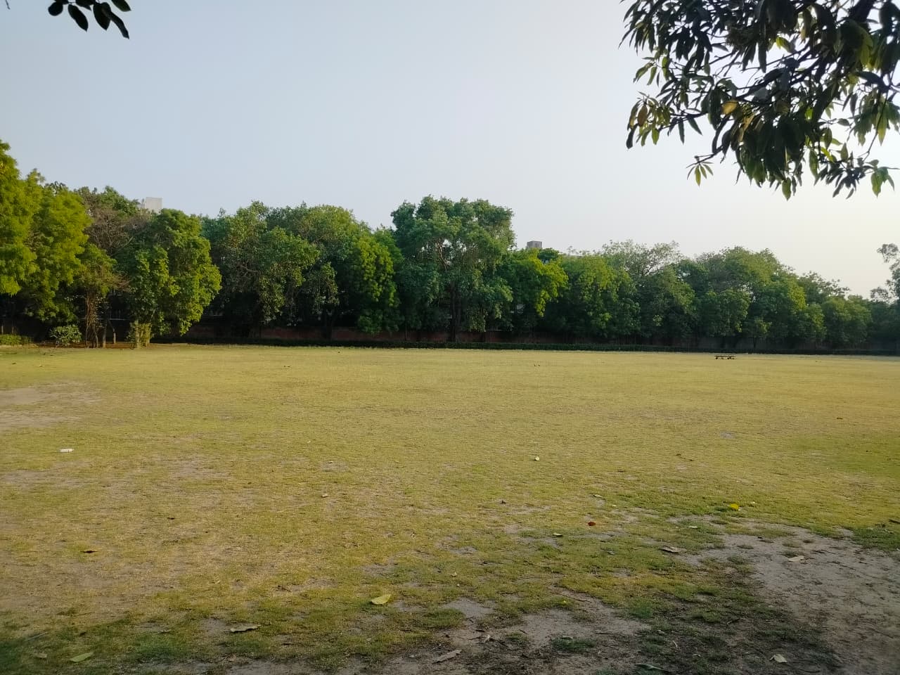 Shyama Prasad Mukherji College for Women Playground media (7) by 1780294931_WhatsAppImage2026-05-31at8.21.13PM(1).jpeg