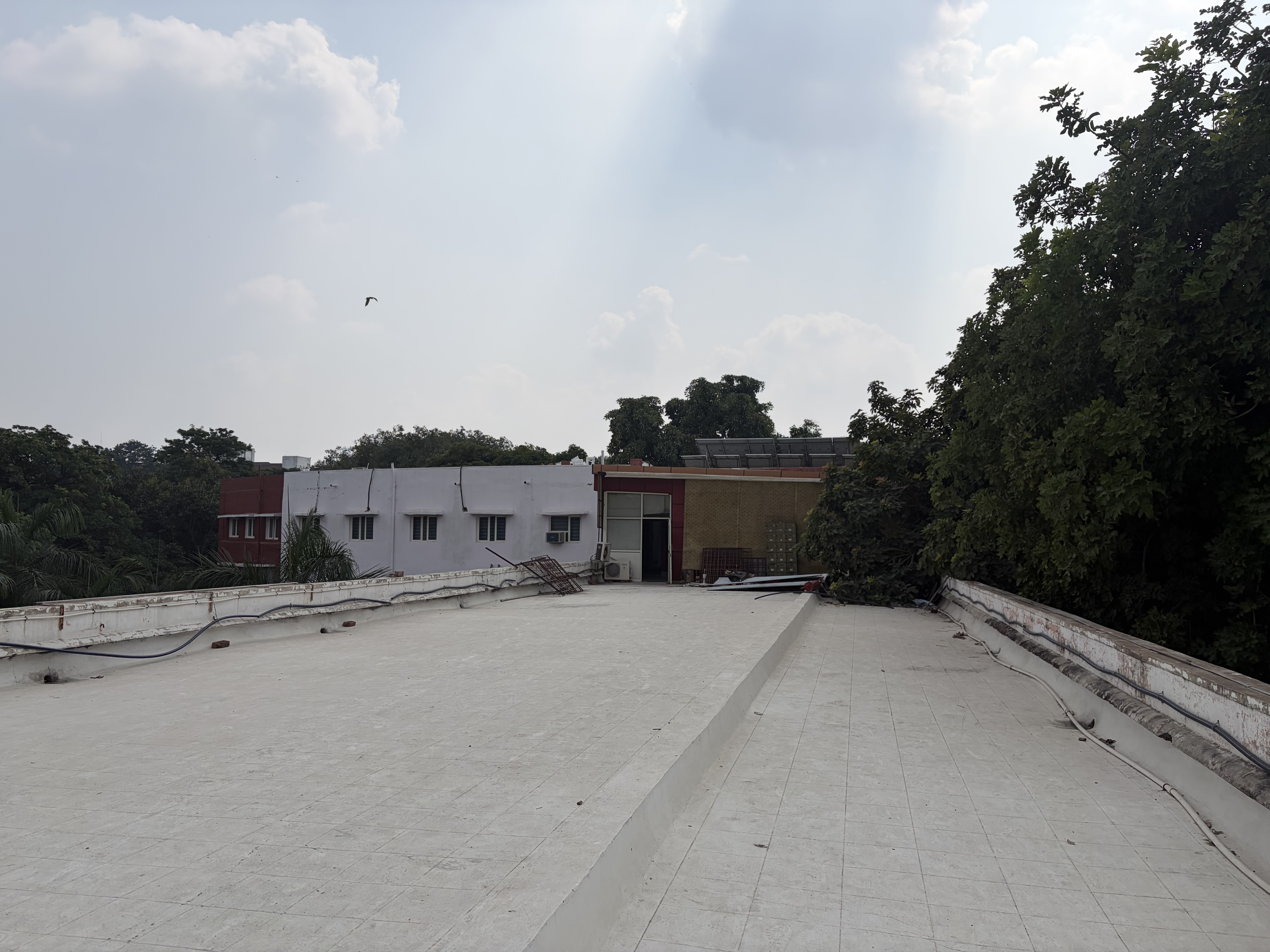 Daulat Ram College Others media (4) by 1790250102_IMG_4559.jpeg