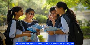 TN Class 10 and 11 Result to be Released on May 19; Check Details Here