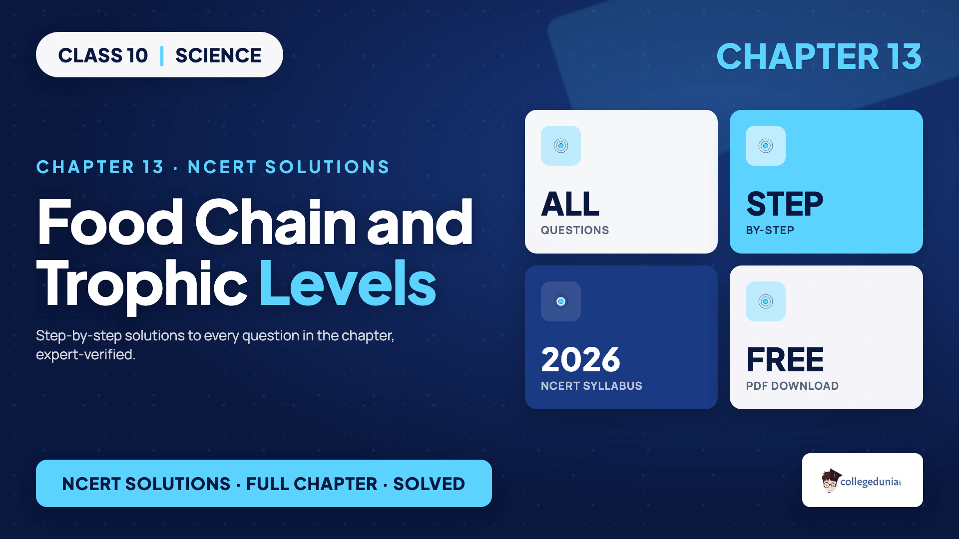 Food chain and trophic levels from producer to top consumer for Class 10 Science Chapter 13 Our Environment