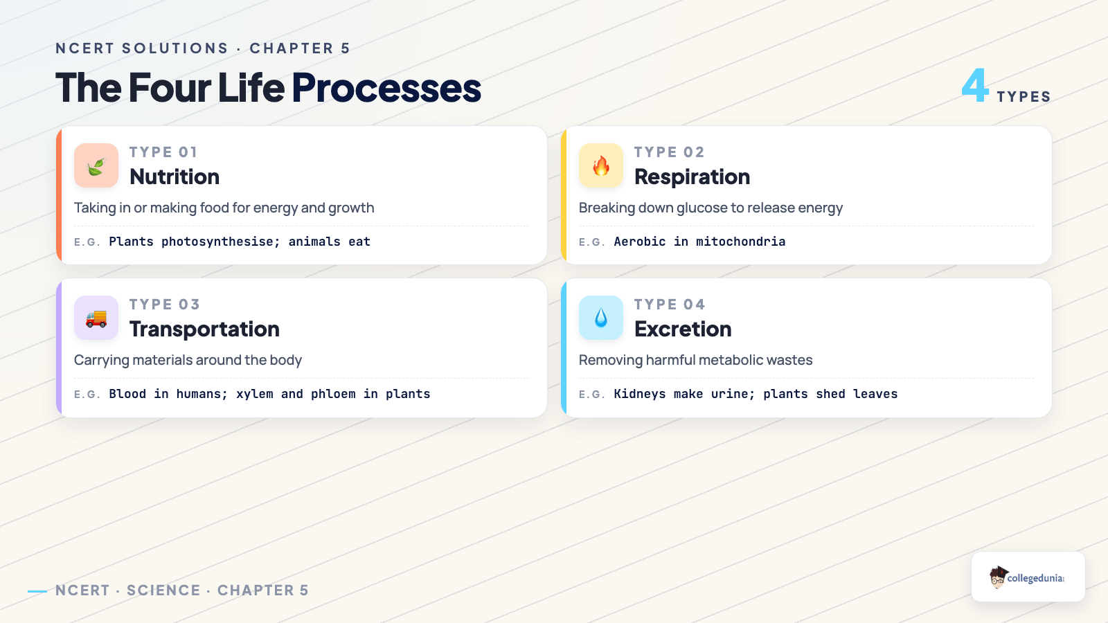The four life processes nutrition respiration transportation and excretion for Class 10 Science Chapter 5