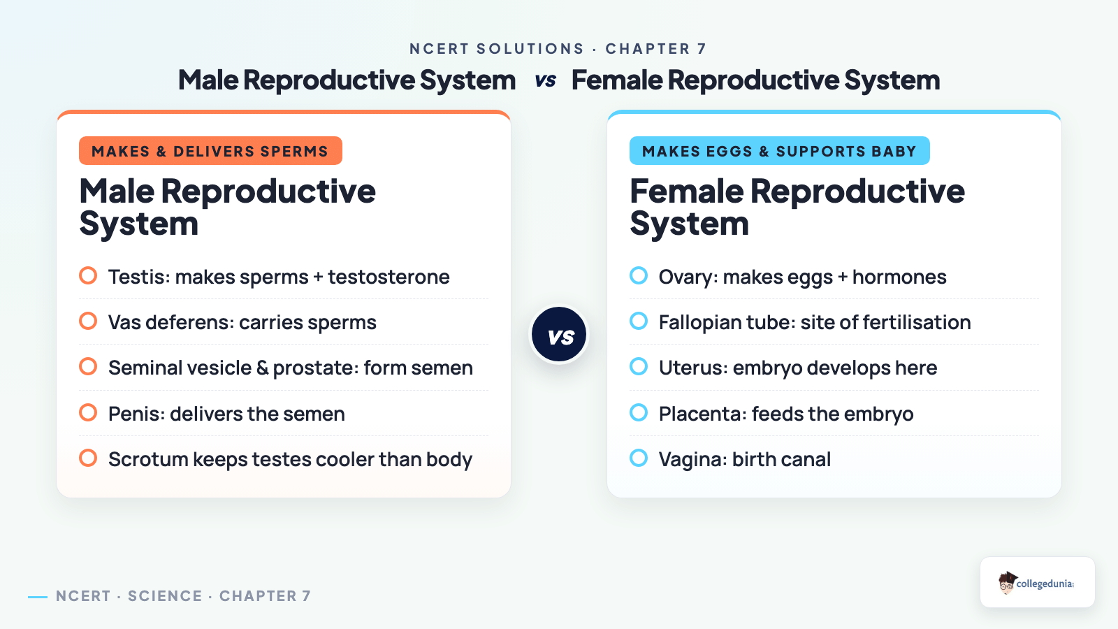 Human male and female reproductive system parts and functions for Class 10 Science Chapter 7 How do Organisms Reproduce