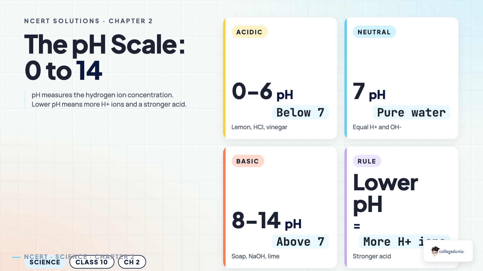 pH scale from 0 to 14 showing acidic neutral and basic ranges for Class 10 Science Chapter 2