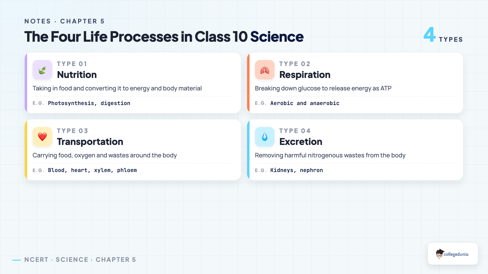 The four life processes nutrition respiration transportation excretion for Class 10 Science Chapter 5 Notes
