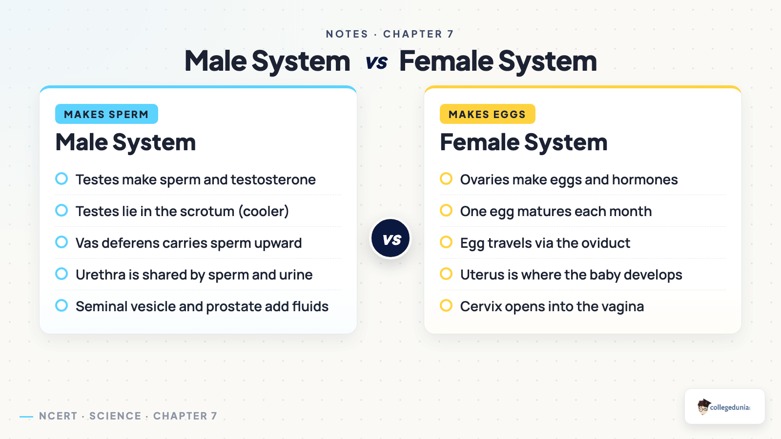 Human male and female reproductive systems testes vas deferens ovary oviduct uterus for Class 10 Science Chapter 7 Notes