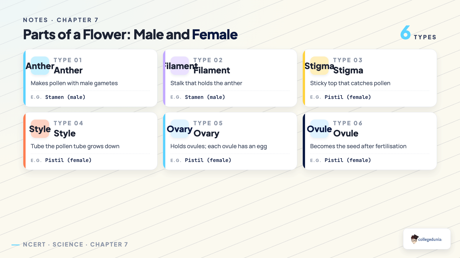 Labelled parts of a flower stamen anther filament pistil stigma style ovary ovule for Class 10 Science Chapter 7 Notes
