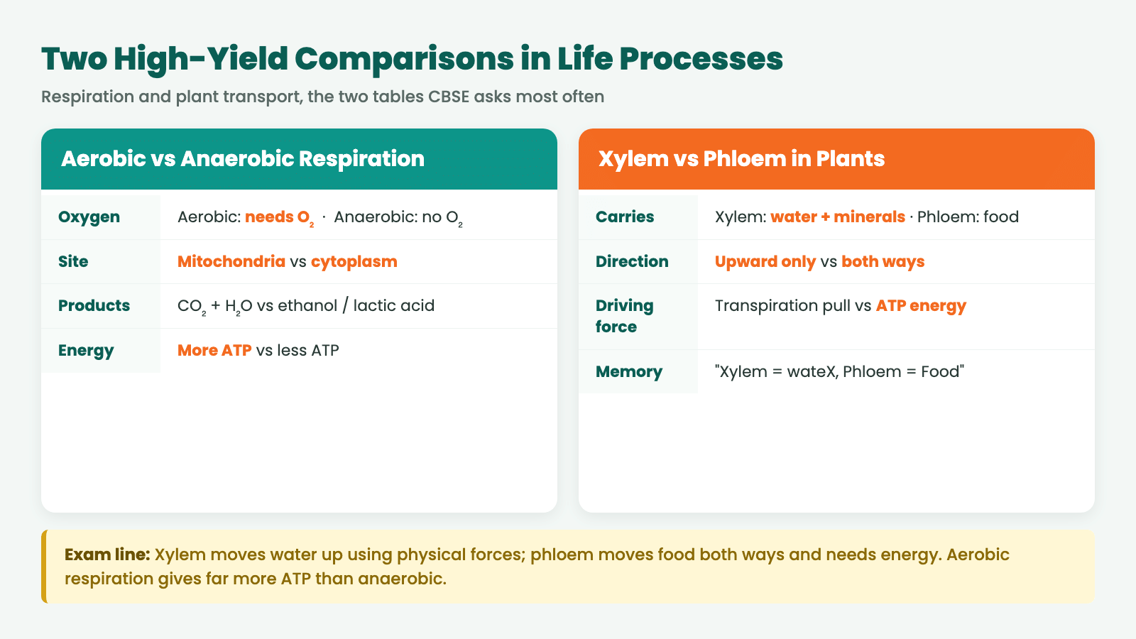 Aerobic vs anaerobic respiration and xylem vs phloem comparison for Class 10 Science