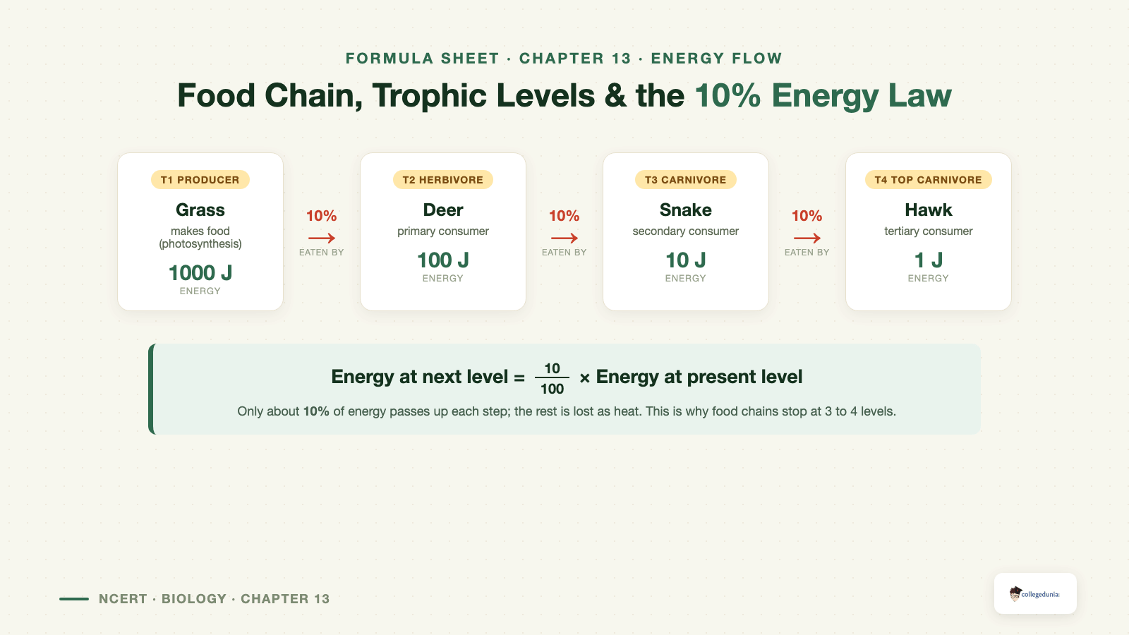 Food chain, trophic levels and the 10 percent energy law for Class 10 Science Chapter 13 Our Environment