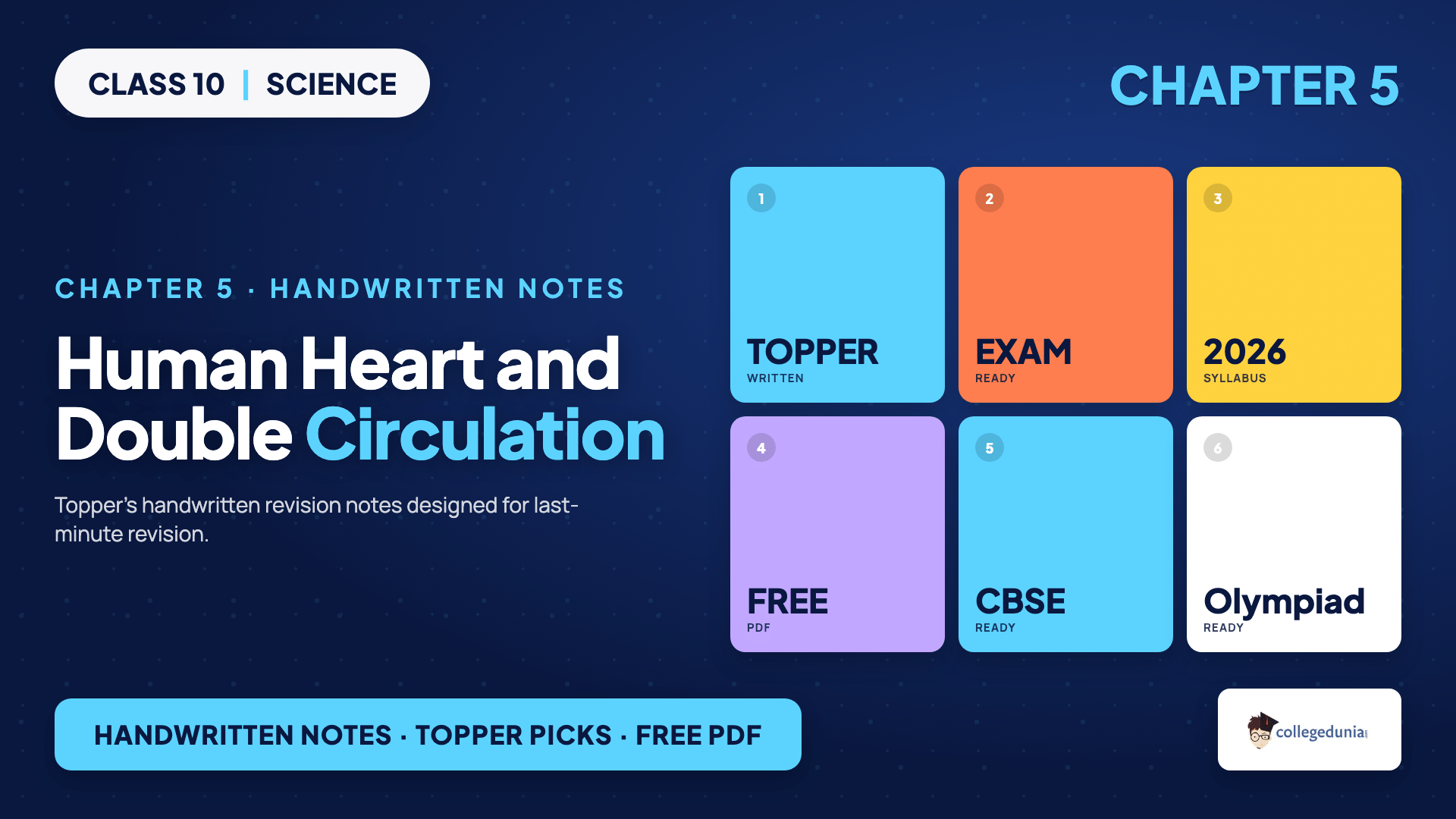 Human heart double circulation diagram for Class 10 Science Chapter 5 Life Processes handwritten notes